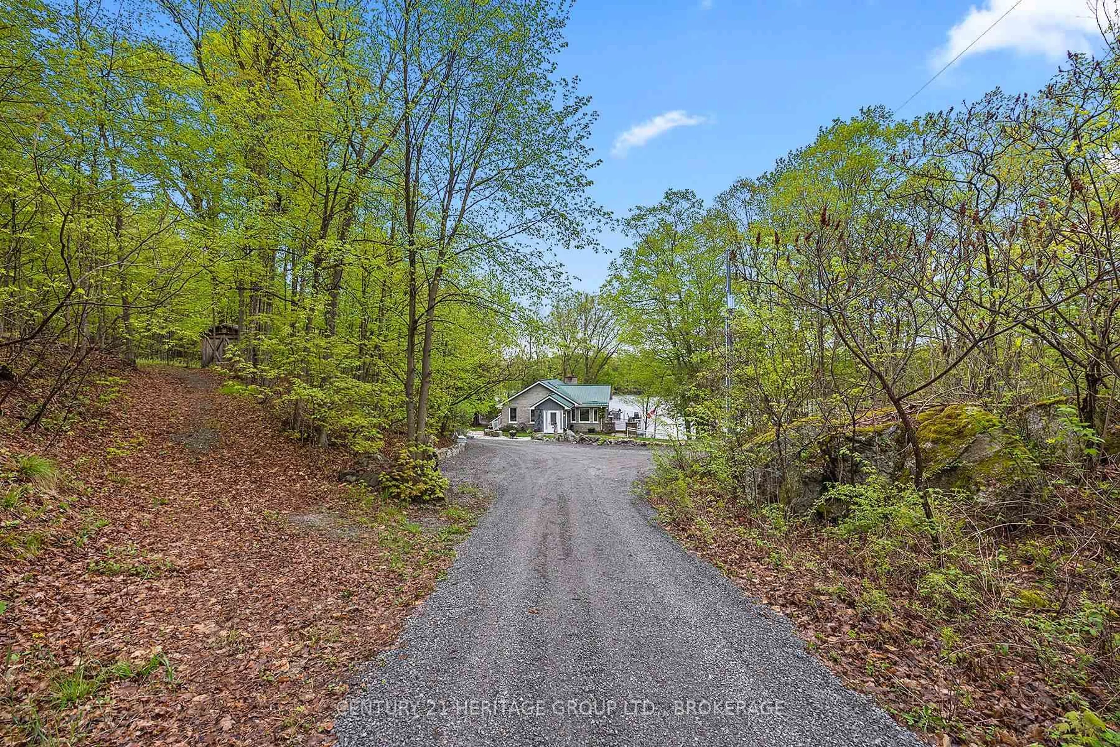 A pic from outside/outdoor area/front of a property/back of a property/a pic from drone, forest/trees view for 8126 Perth Rd, Perth Road Ontario K0H 2L0