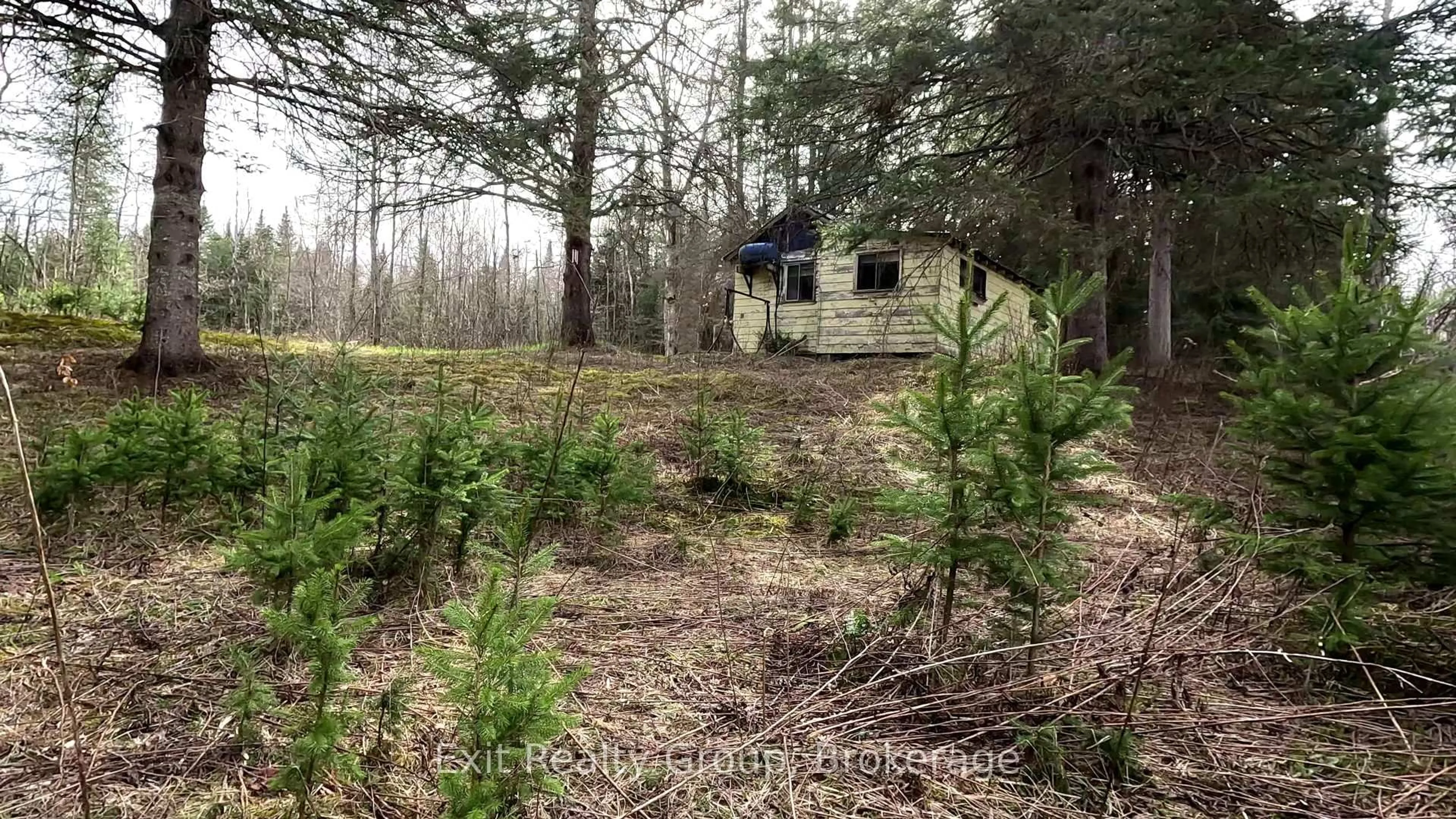 Shed for 3606 County Road 620, North Kawartha Ontario K0L 1A0