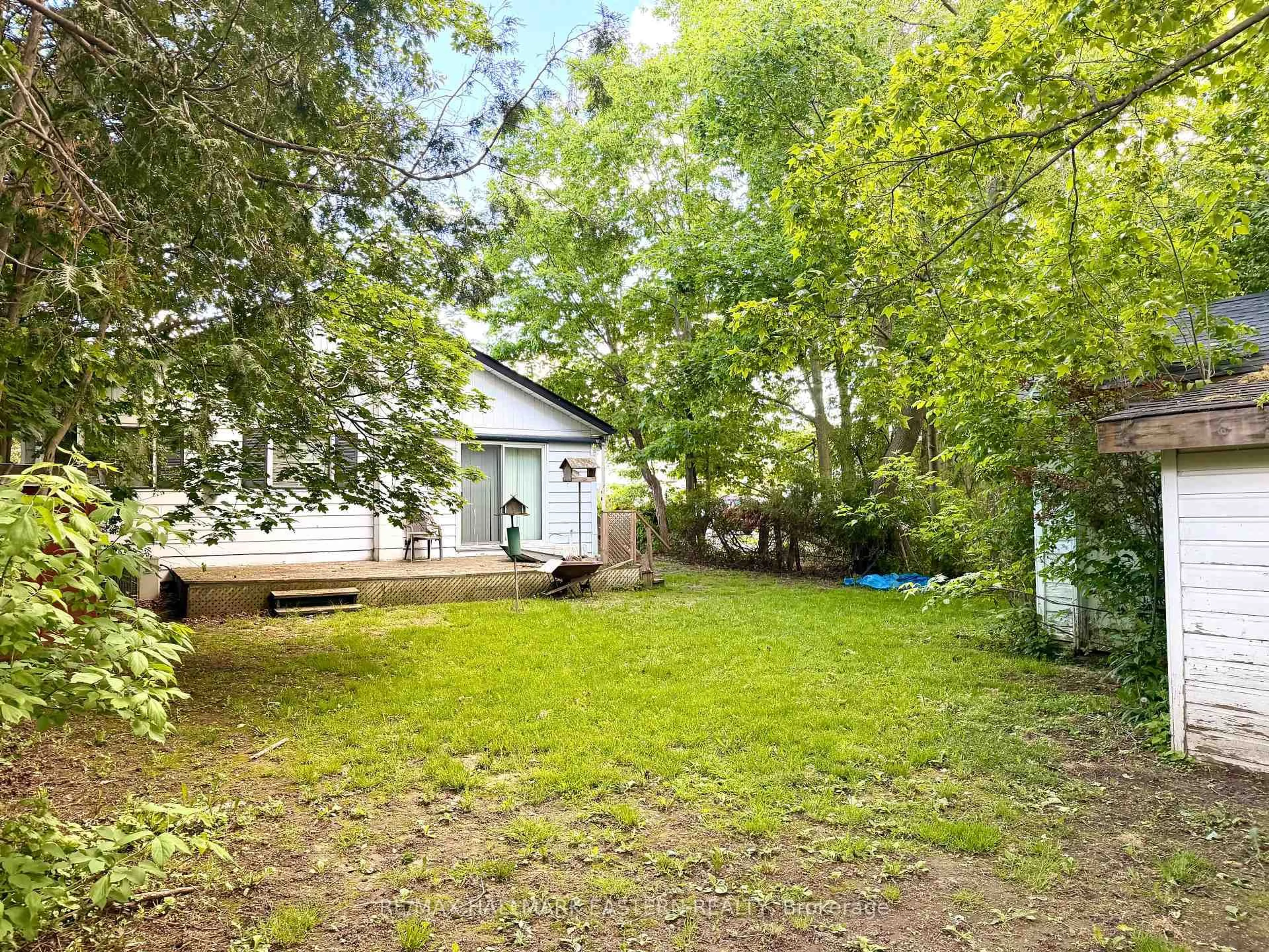 A pic from outside/outdoor area/front of a property/back of a property/a pic from drone, forest/trees view for 2 George St, Kawartha Lakes Ontario K9V 1W1