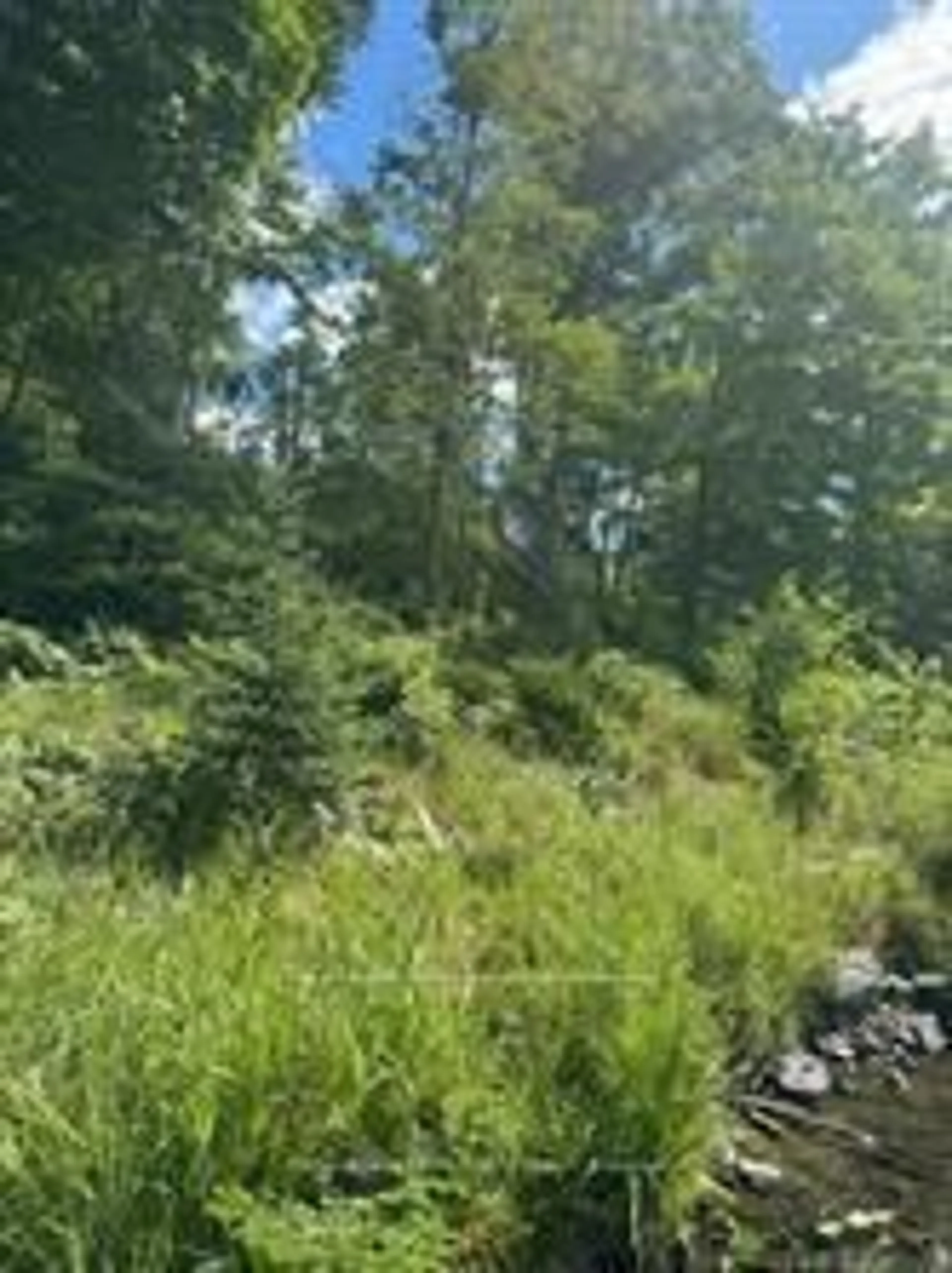 Blurry image for 493 Buttermilk Lane, Limoges Ontario K0K 2M0