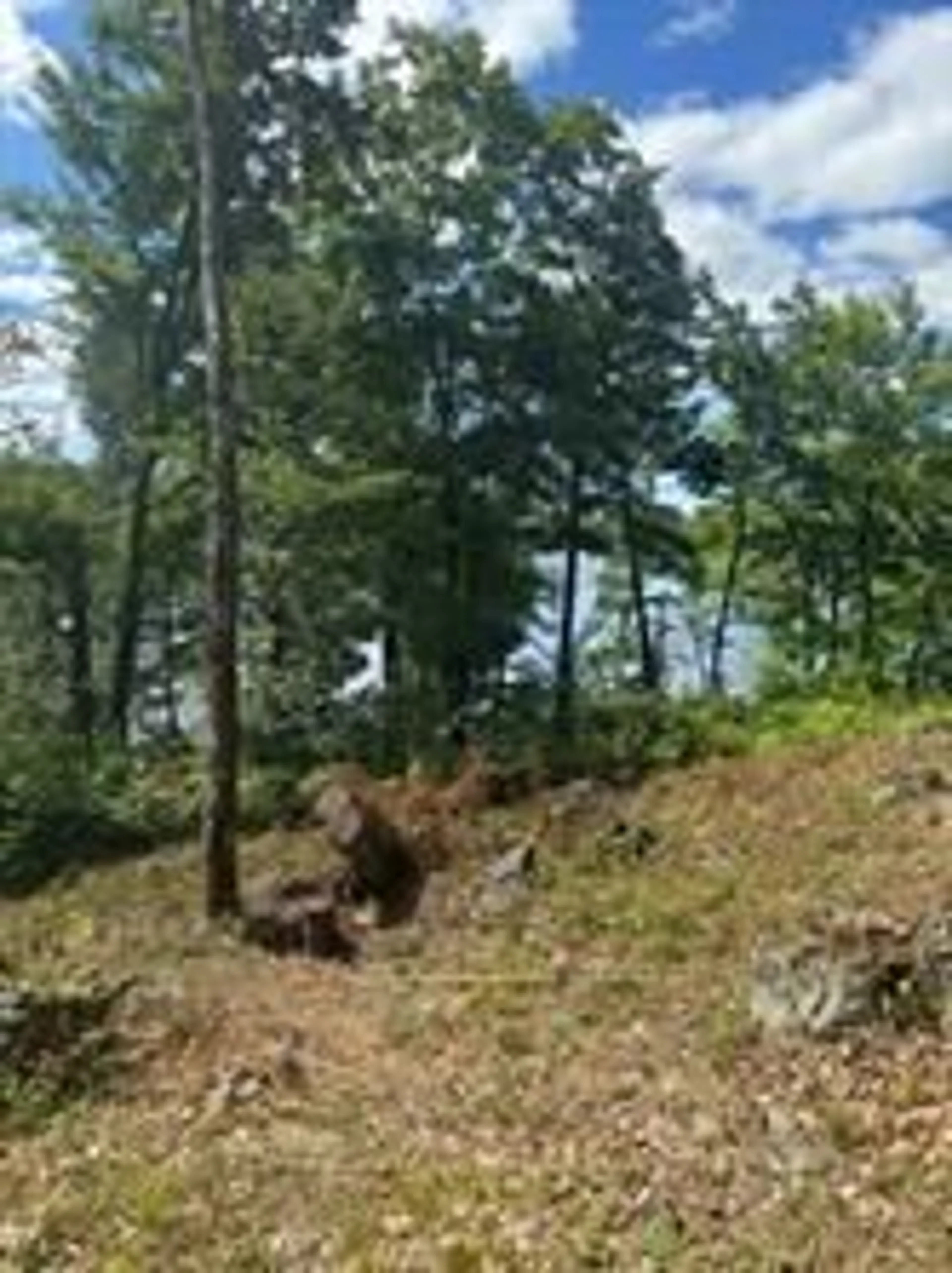 Blurry image for 493 Buttermilk Lane, Limoges Ontario K0K 2M0
