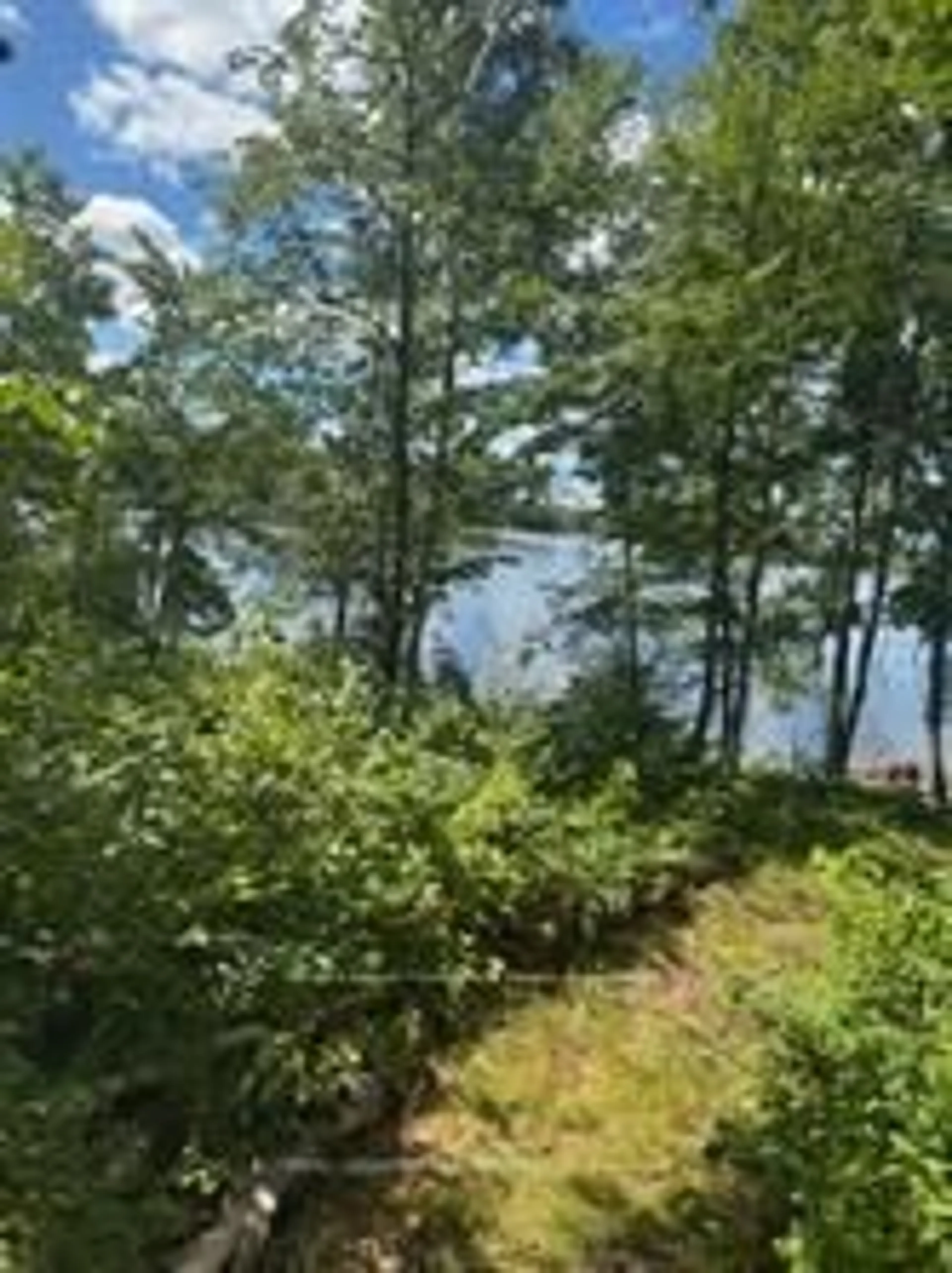 A pic from outside/outdoor area/front of a property/back of a property/a pic from drone, water/lake/river/ocean view for 493 Buttermilk Lane, Limoges Ontario K0K 2M0