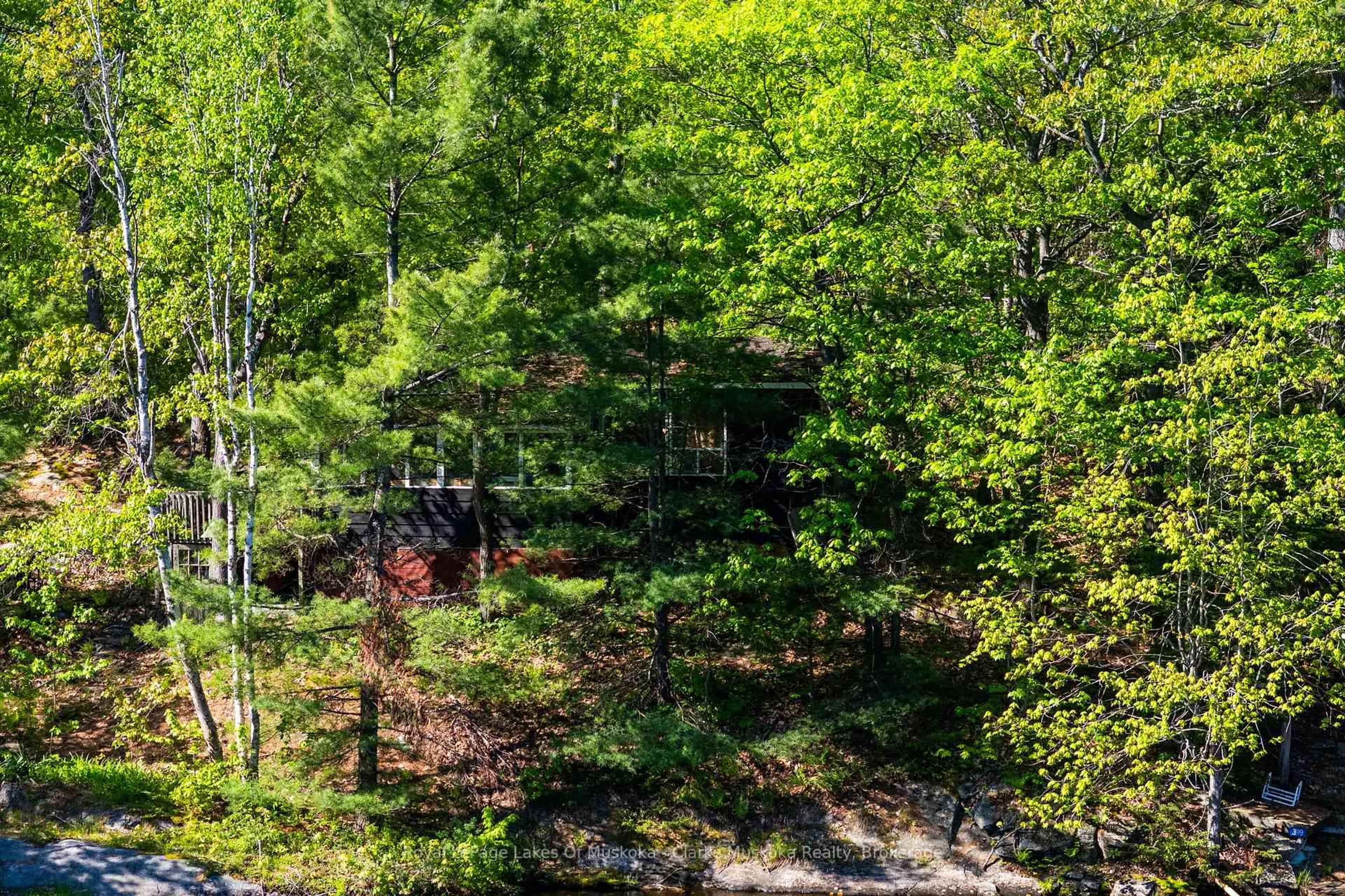 A pic from outside/outdoor area/front of a property/back of a property/a pic from drone, forest/trees view for 17 Nine Mile Lake, Muskoka Lakes Ontario P0C 1M0