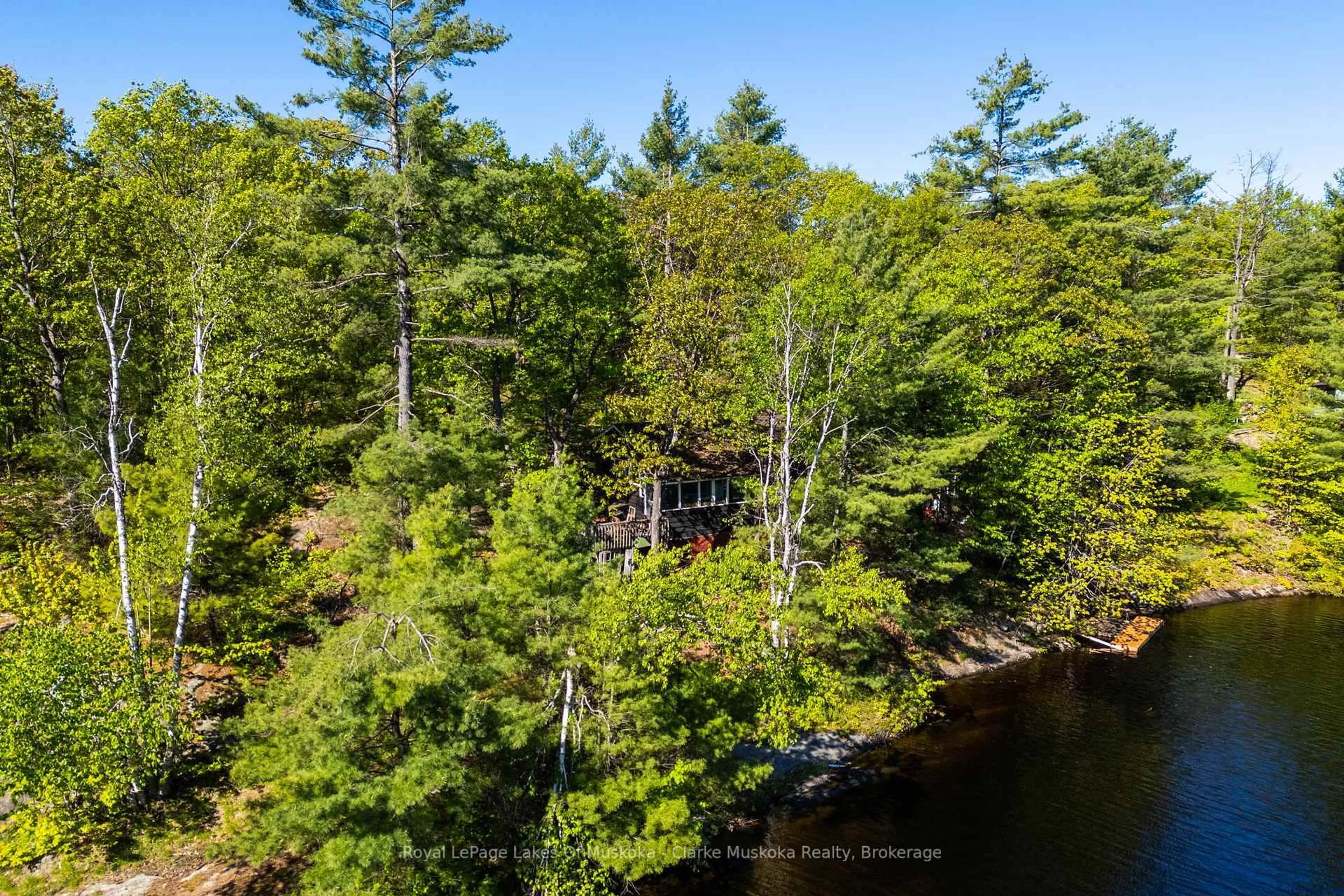 A pic from outside/outdoor area/front of a property/back of a property/a pic from drone, forest/trees view for 17 Nine Mile Lake, Muskoka Lakes Ontario P0C 1M0