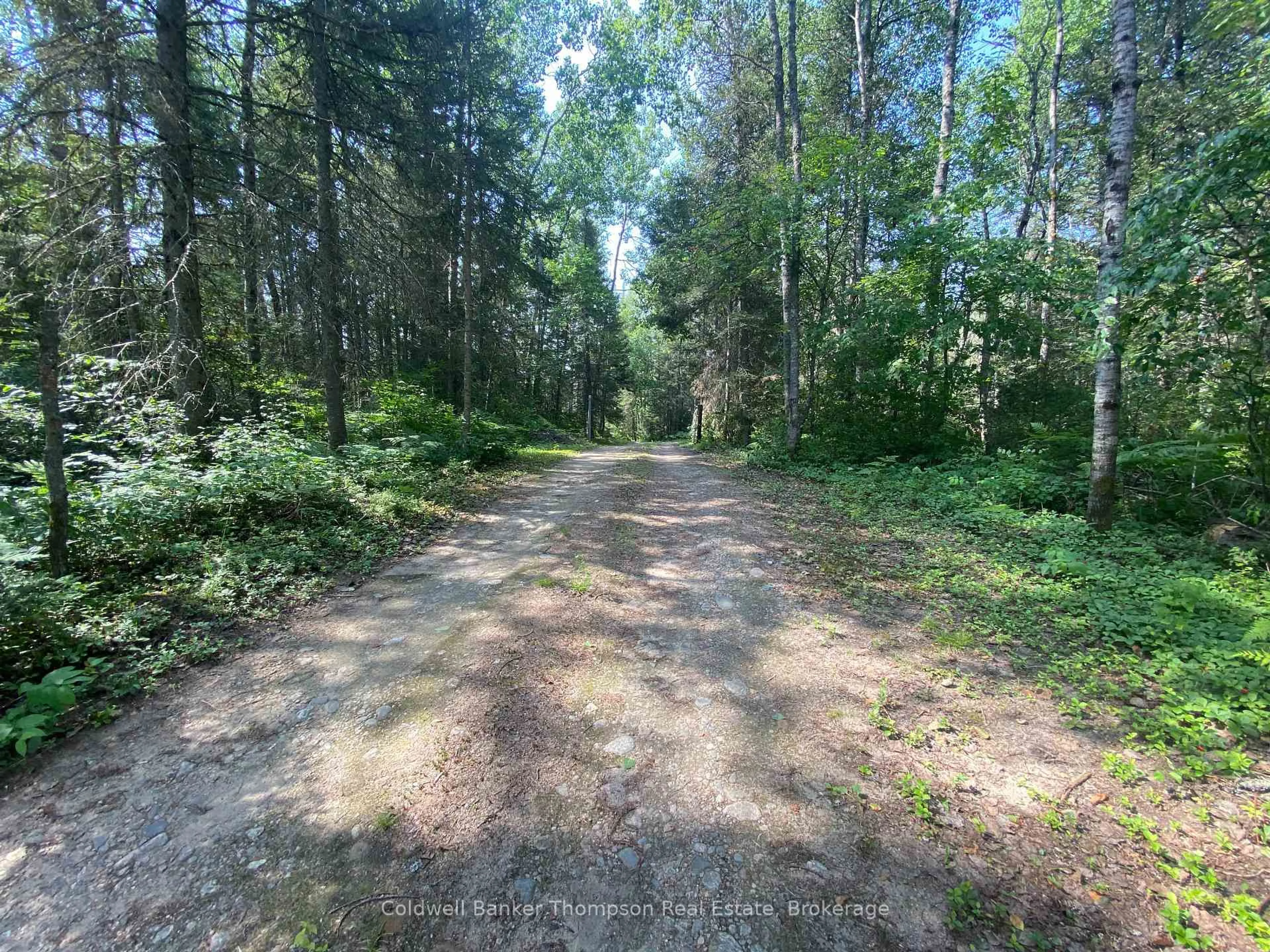 A pic from outside/outdoor area/front of a property/back of a property/a pic from drone, forest/trees view for 183 Sandhill Rd, Joly Ontario P0A 1Z0