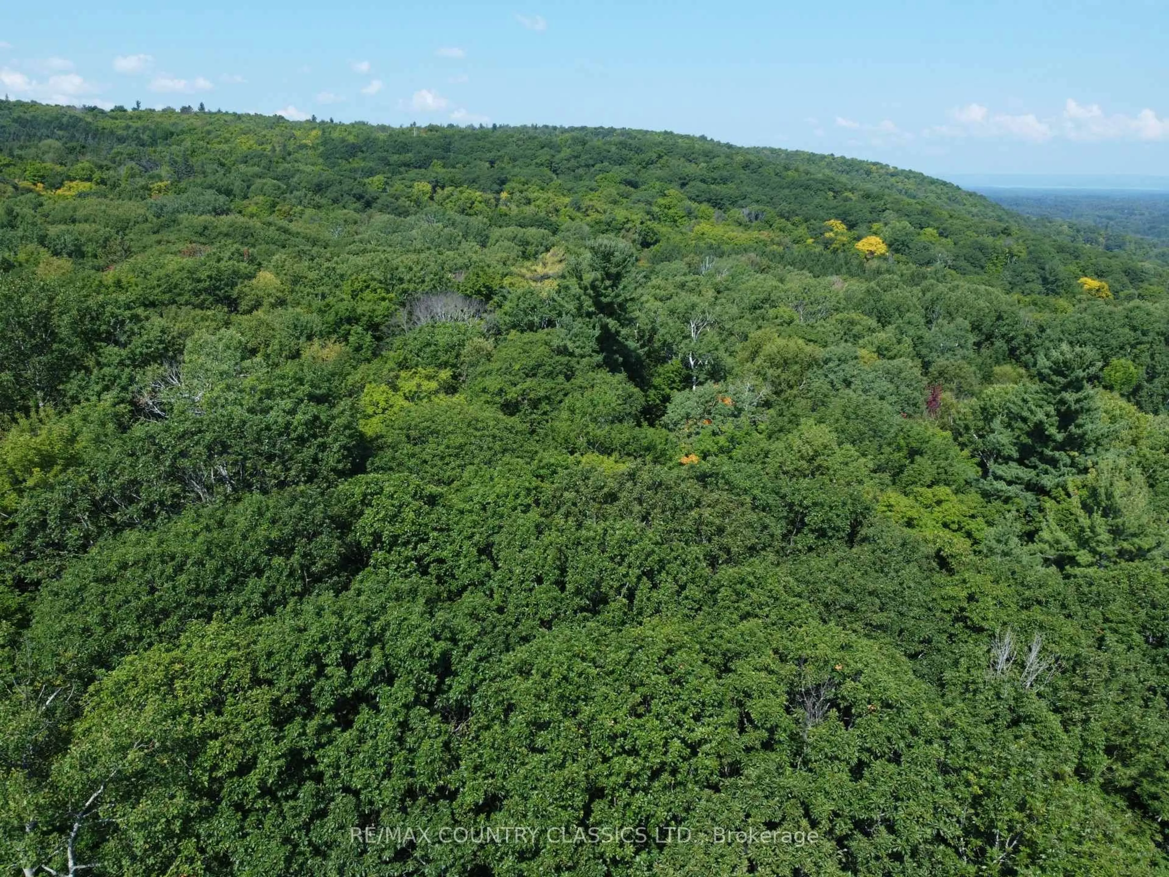A pic from outside/outdoor area/front of a property/back of a property/a pic from drone, forest/trees view for 388 O'GRADY SETTLEMENT Rd, Killaloe Ontario K0J 2A0