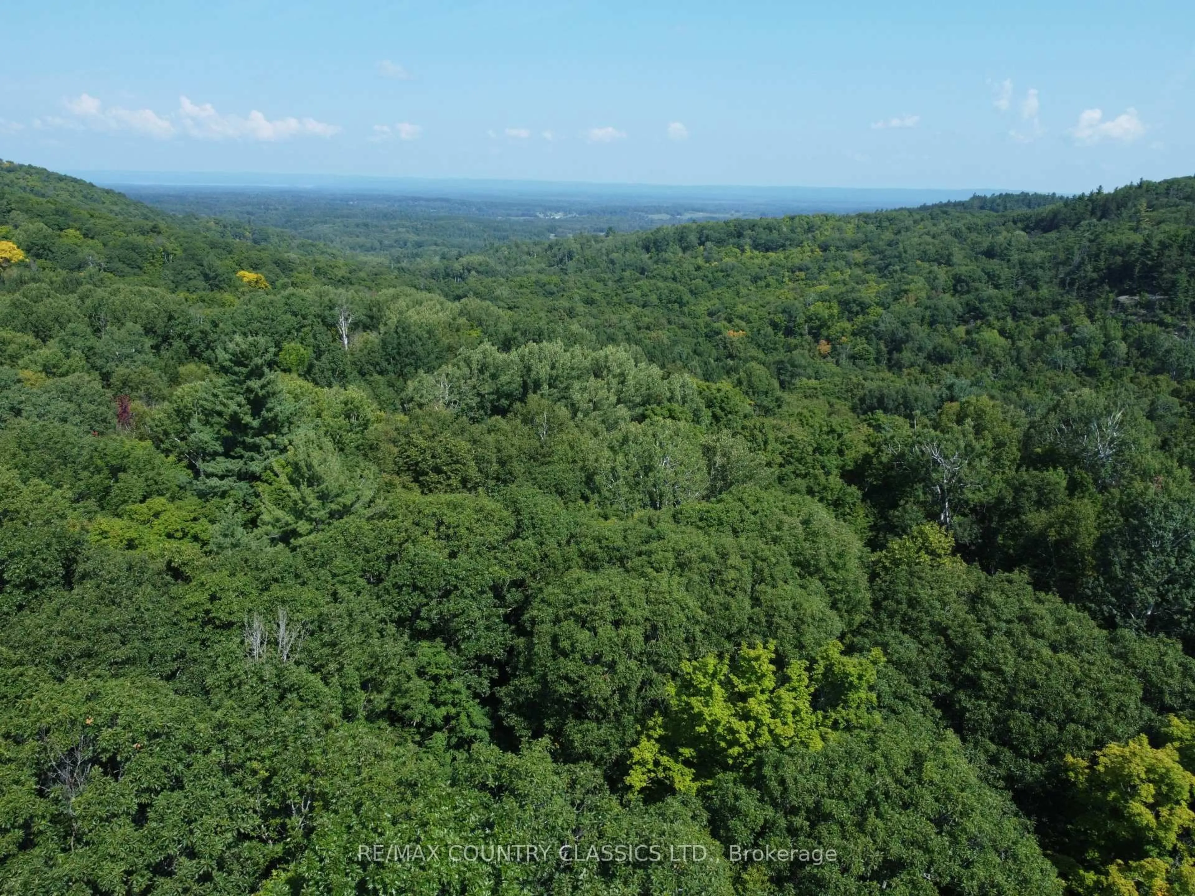 A pic from outside/outdoor area/front of a property/back of a property/a pic from drone, forest/trees view for 388 O'GRADY SETTLEMENT Rd, Killaloe Ontario K0J 2A0