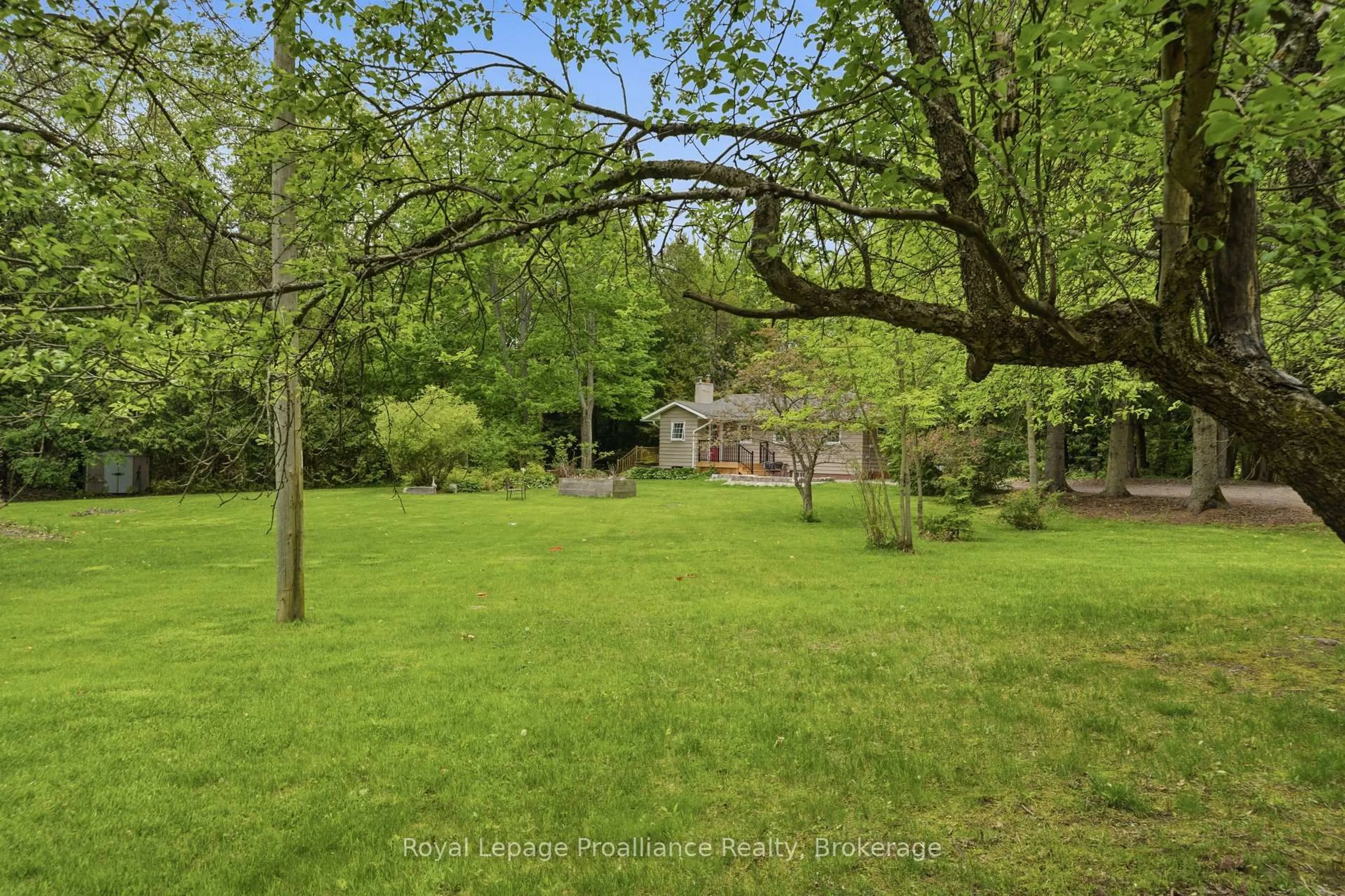 A pic from outside/outdoor area/front of a property/back of a property/a pic from drone, forest/trees view for 255 Bull Rd, Alnwick/Haldimand Ontario K0K 1C0