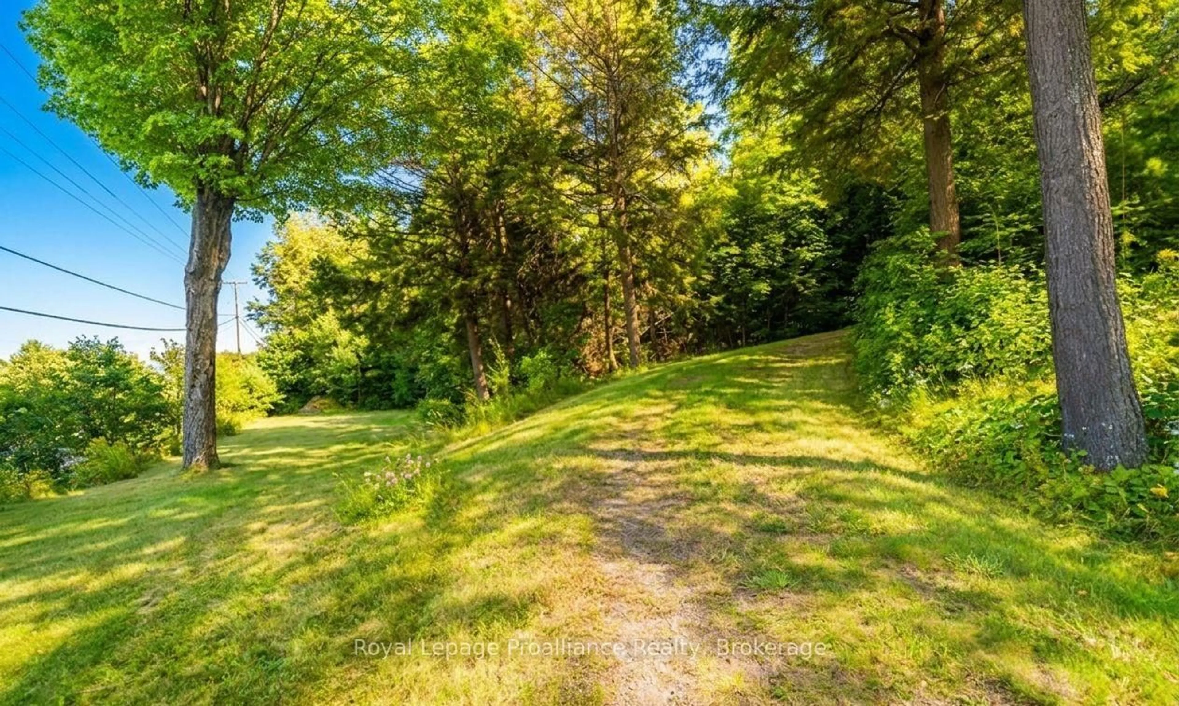 A pic from outside/outdoor area/front of a property/back of a property/a pic from drone, forest/trees view for 17100 Highway 41, Cloyne Ontario K0H 1K0