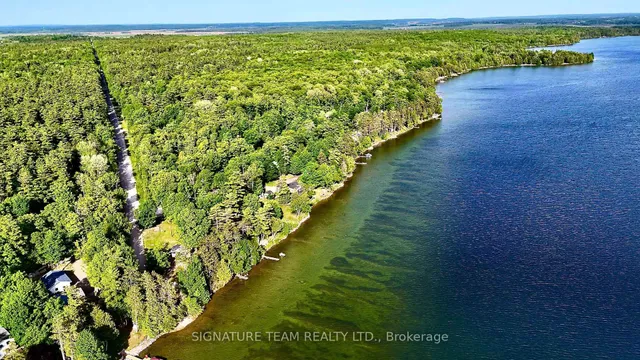 491 Jessup Rd, Eganville 4