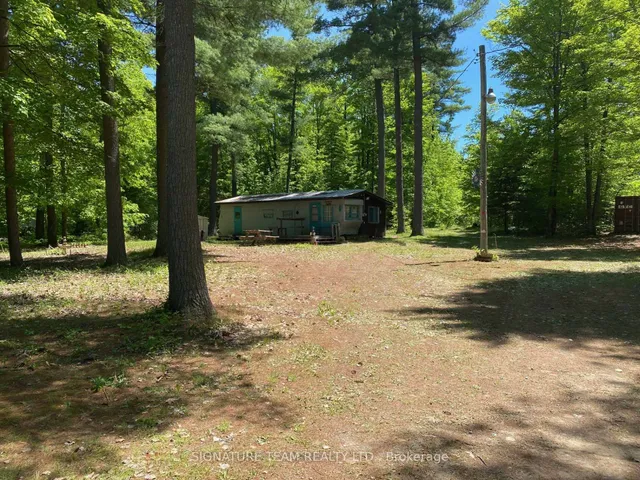 491 Jessup Rd, Eganville 5