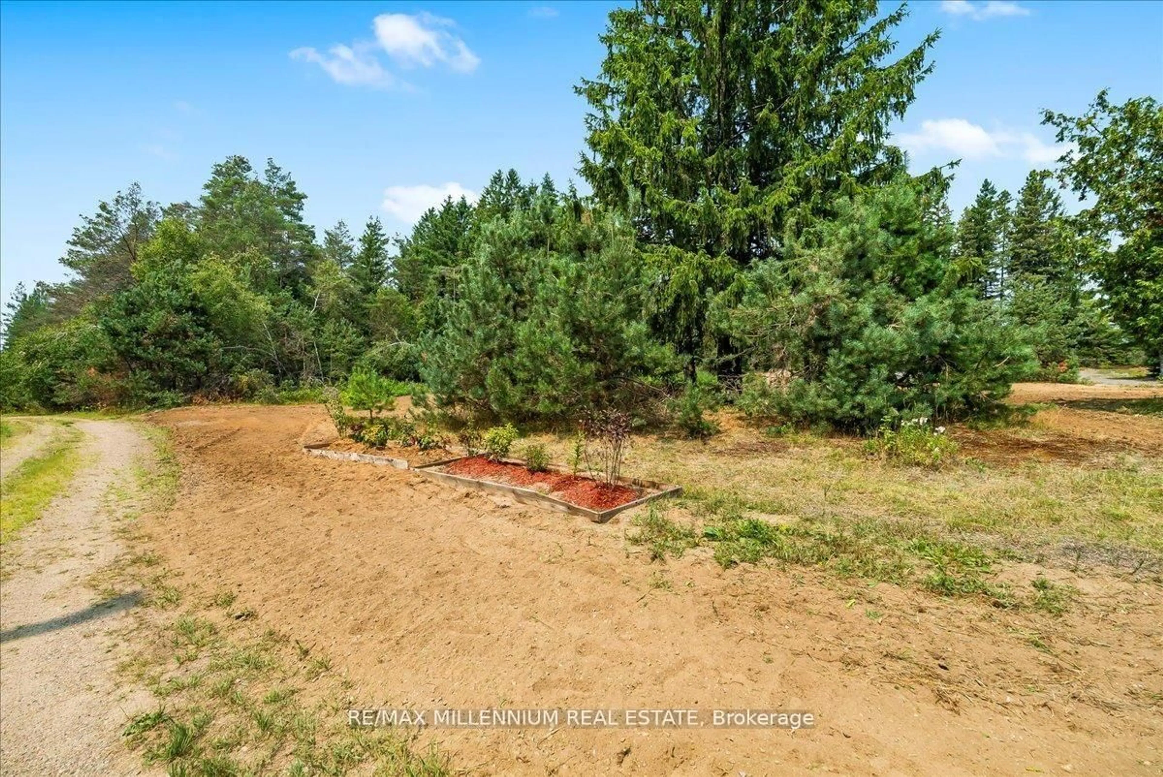 A pic from outside/outdoor area/front of a property/back of a property/a pic from drone, forest/trees view for 3529 Highway 118, Bracebridge Ontario P1L 1X1