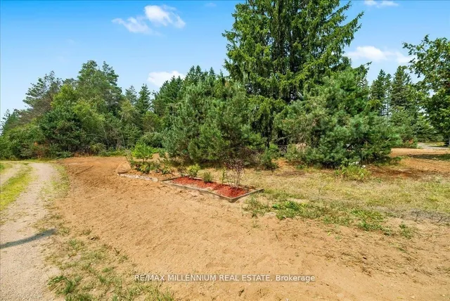 3529 Highway 118, Bracebridge 5