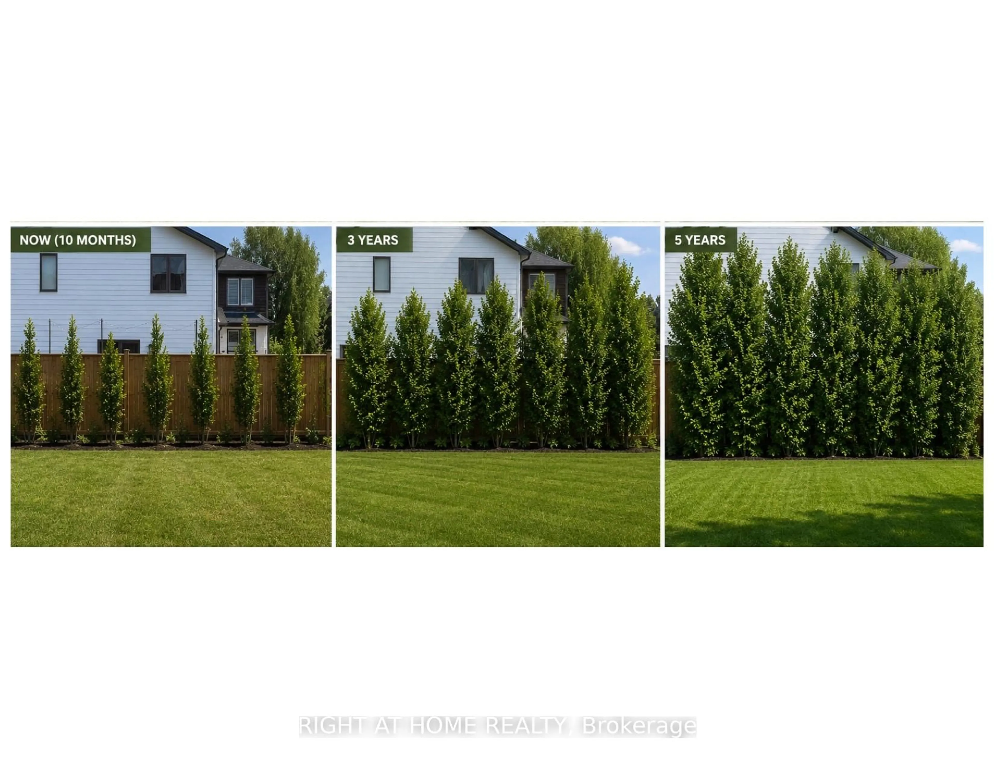 Blurry image for 325 Manhattan Dr, London South Ontario N6K 0L5