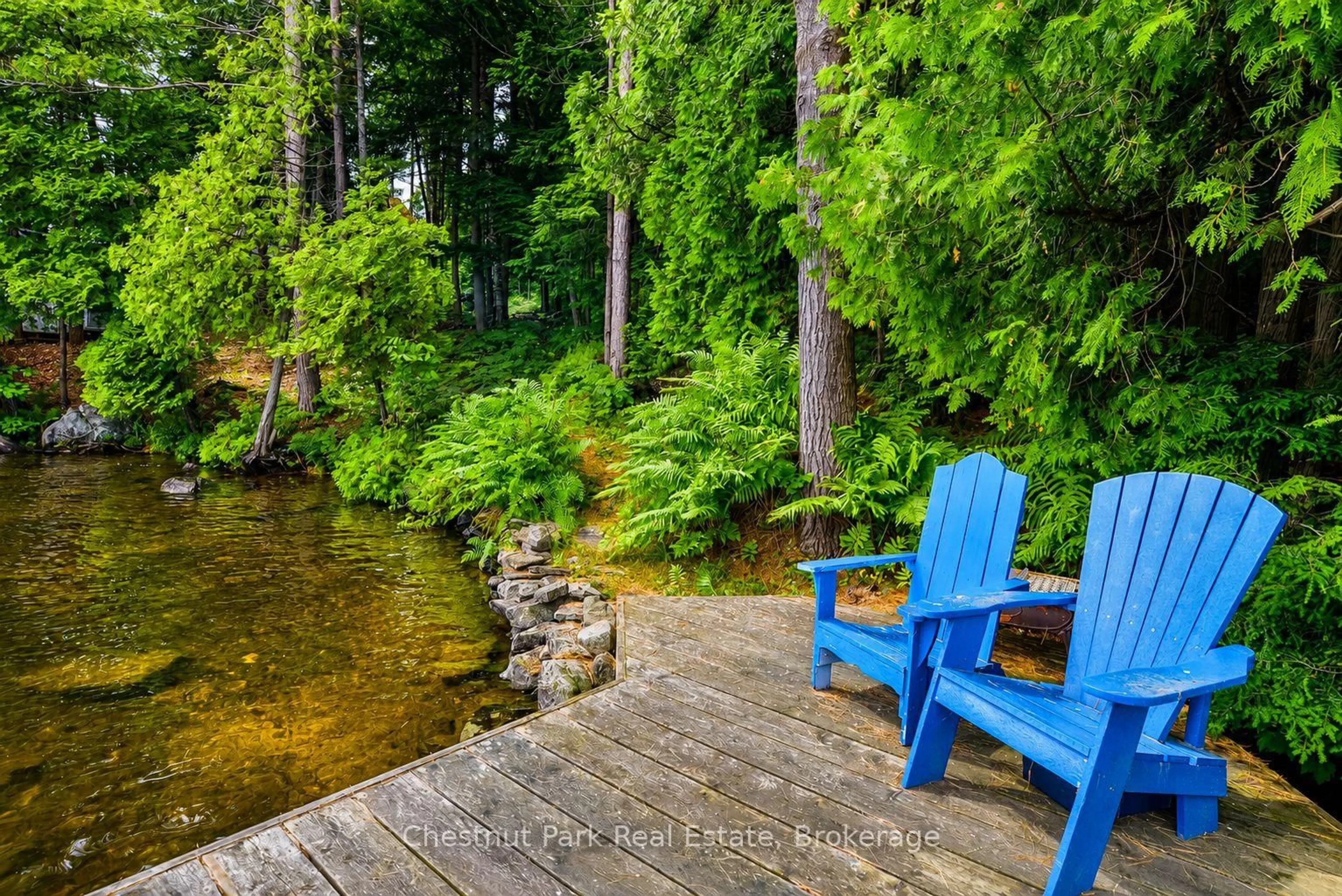 Unknown for 26 Taylor Island 26LM, Gravenhurst Ontario P1P 1R2