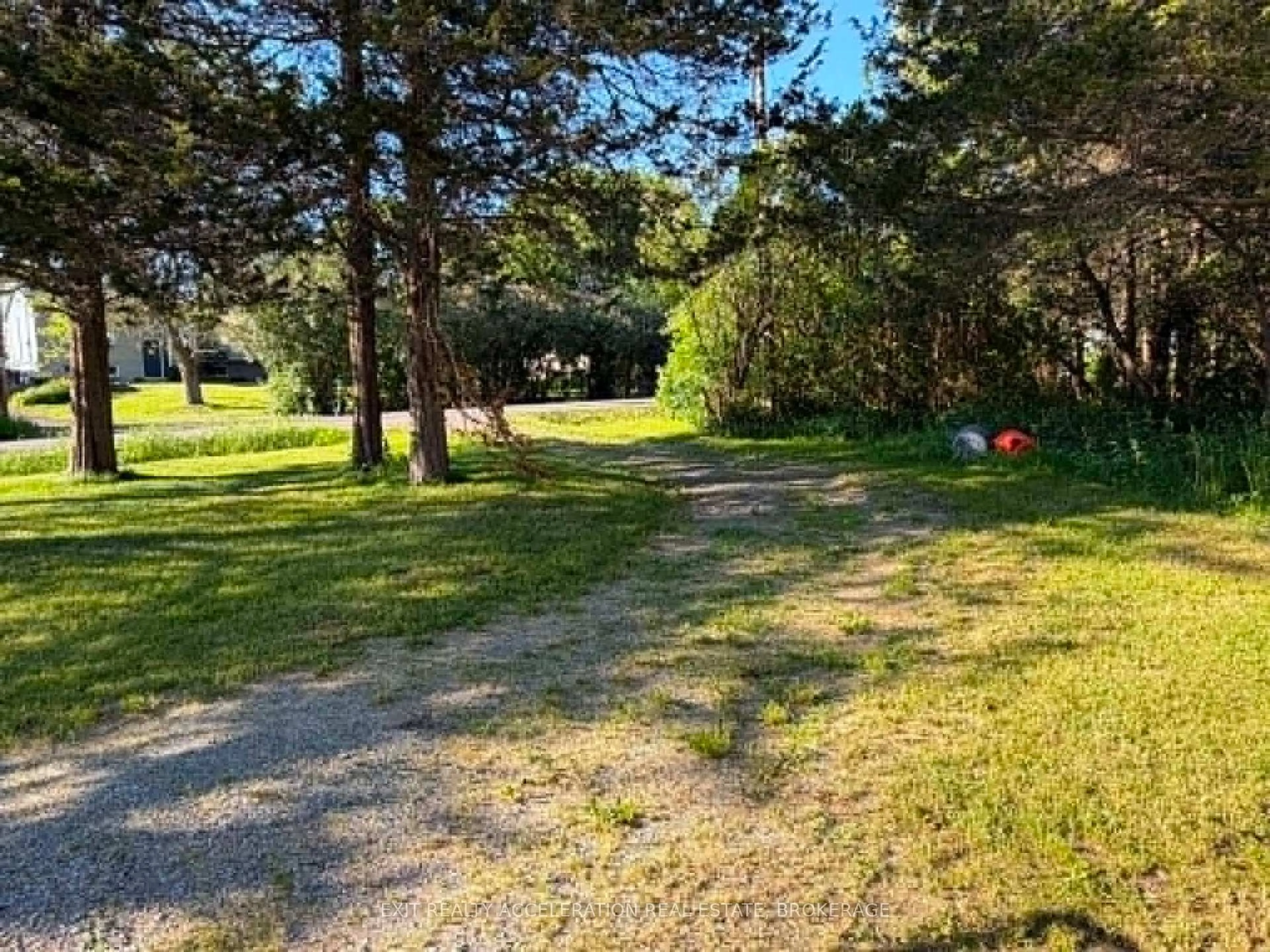 A pic from outside/outdoor area/front of a property/back of a property/a pic from drone, forest/trees view for 114 Bethel Rd, Yarker Ontario K0K 3N0