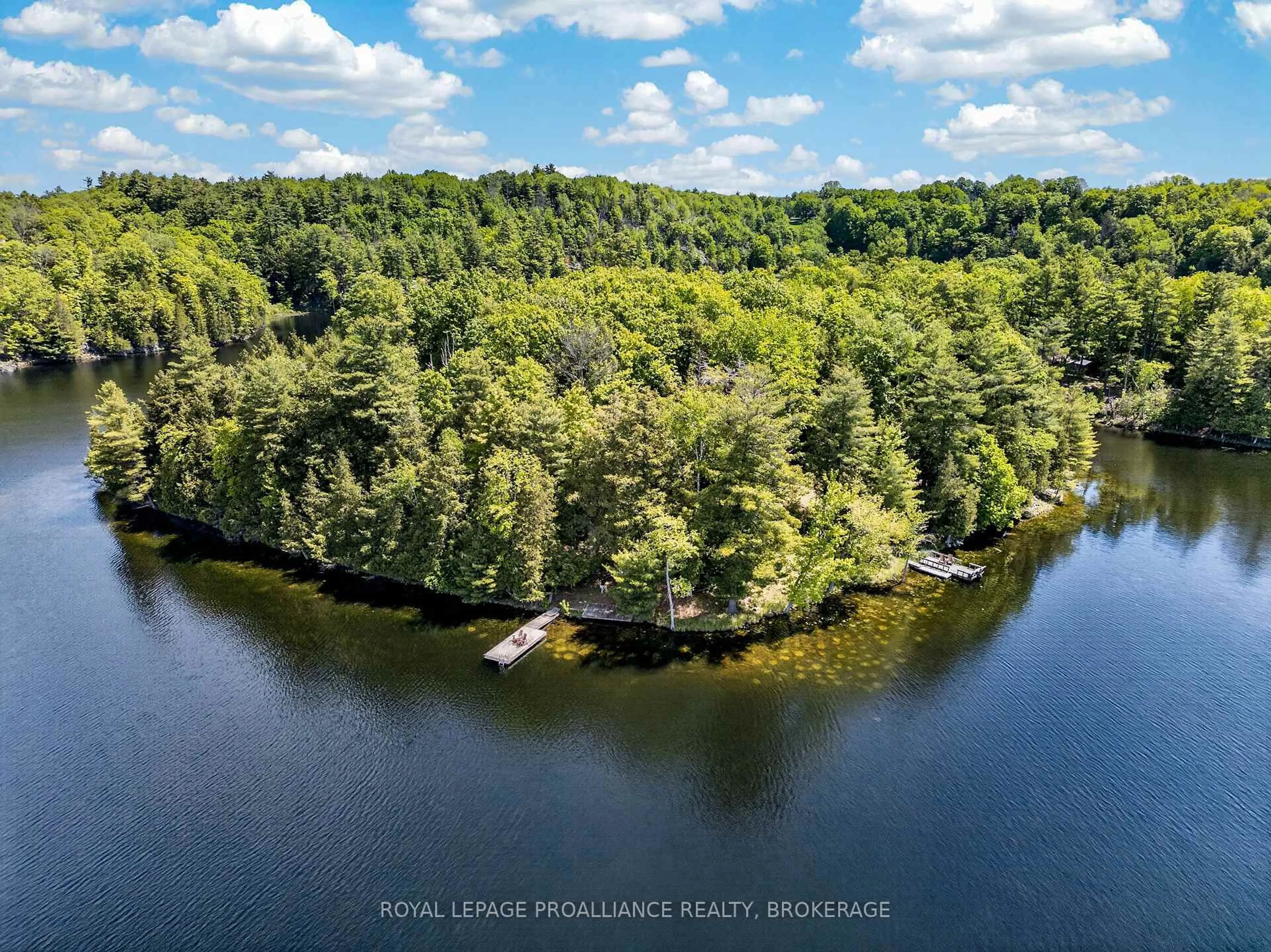 A pic from outside/outdoor area/front of a property/back of a property/a pic from drone, water/lake/river/ocean view for 1147 Shadow Lane, Perth Road Ontario K0H 2L0