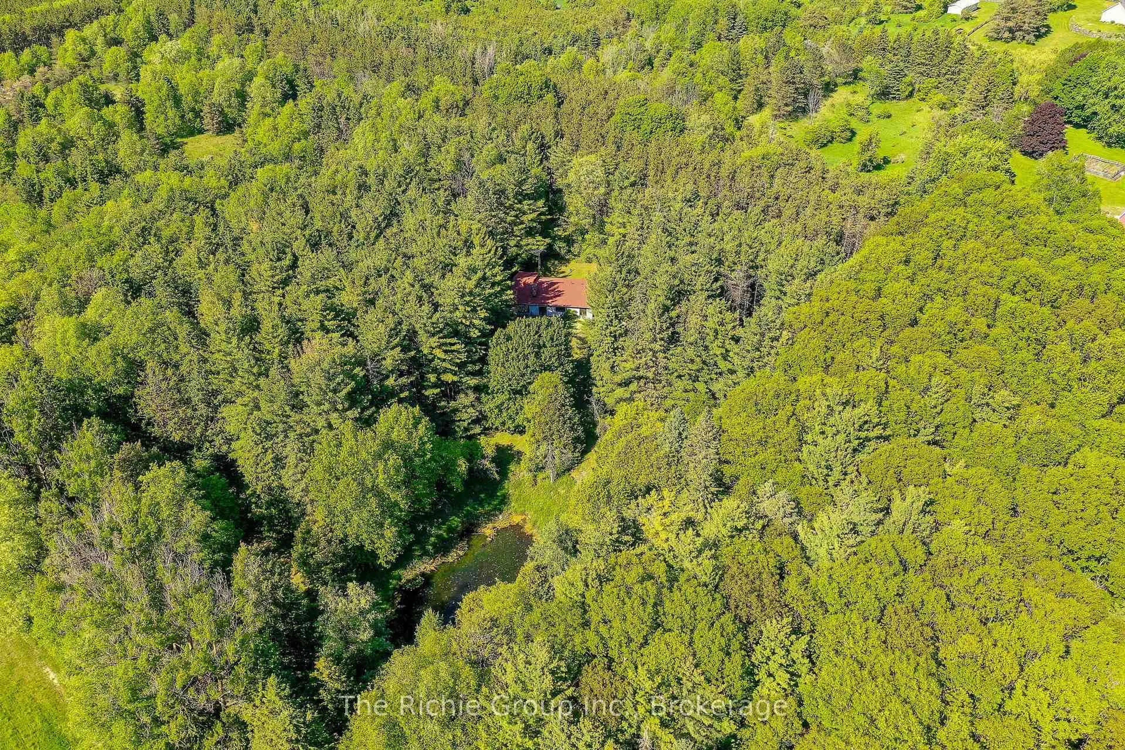A pic from outside/outdoor area/front of a property/back of a property/a pic from drone, forest/trees view for 247483 5 Sdrd, Mono Ontario L9W 6K8