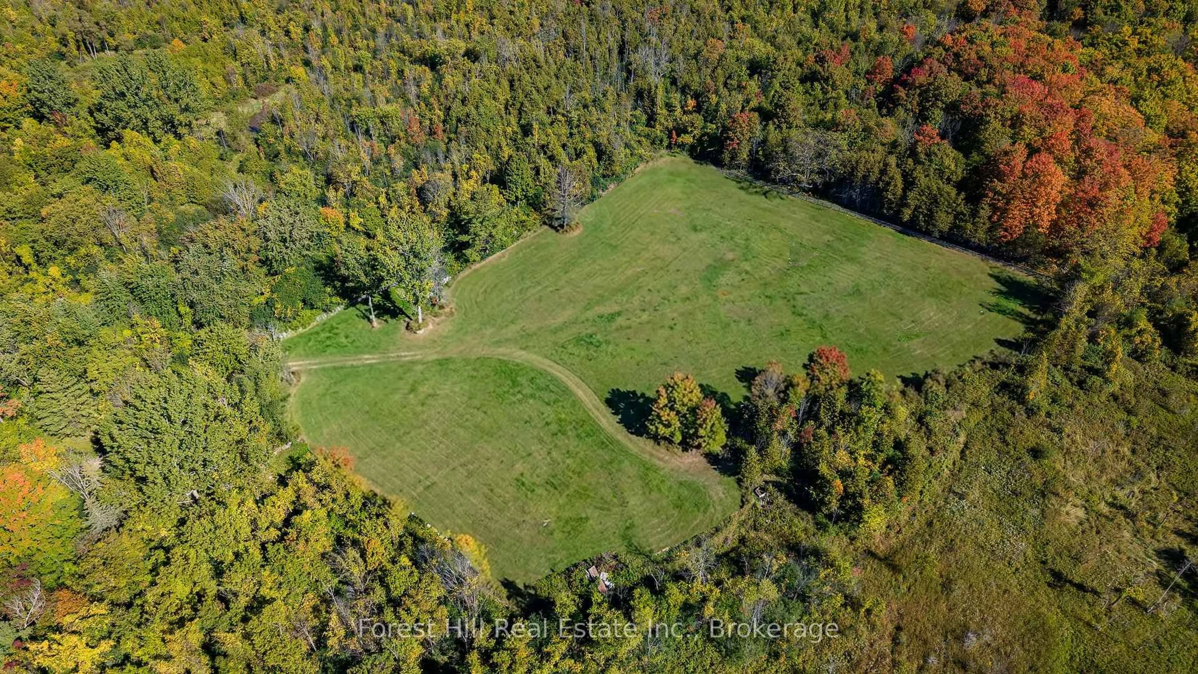 A pic from outside/outdoor area/front of a property/back of a property/a pic from drone, forest/trees view for 496629 Grey Road 2, Blue Mountains Ontario N0H 1J0