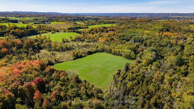 496629 Grey Road 2, Blue Mountains 5