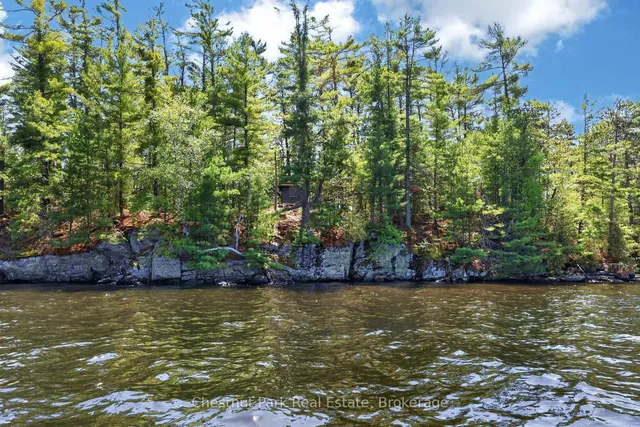 1 Island 20ML Island, Gravenhurst 3