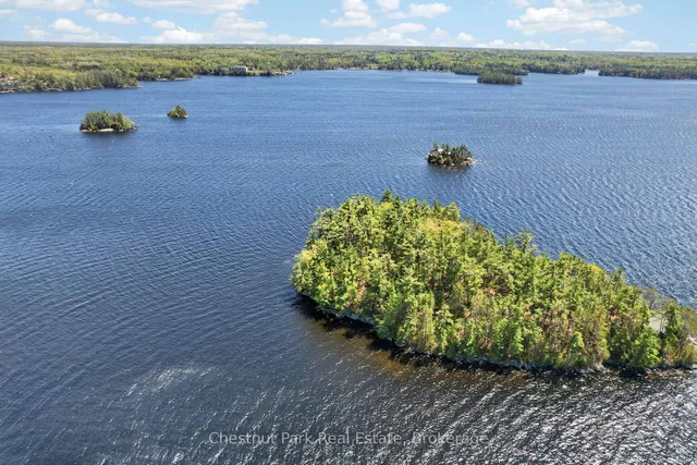 1 Island 20ML Island, Gravenhurst 5