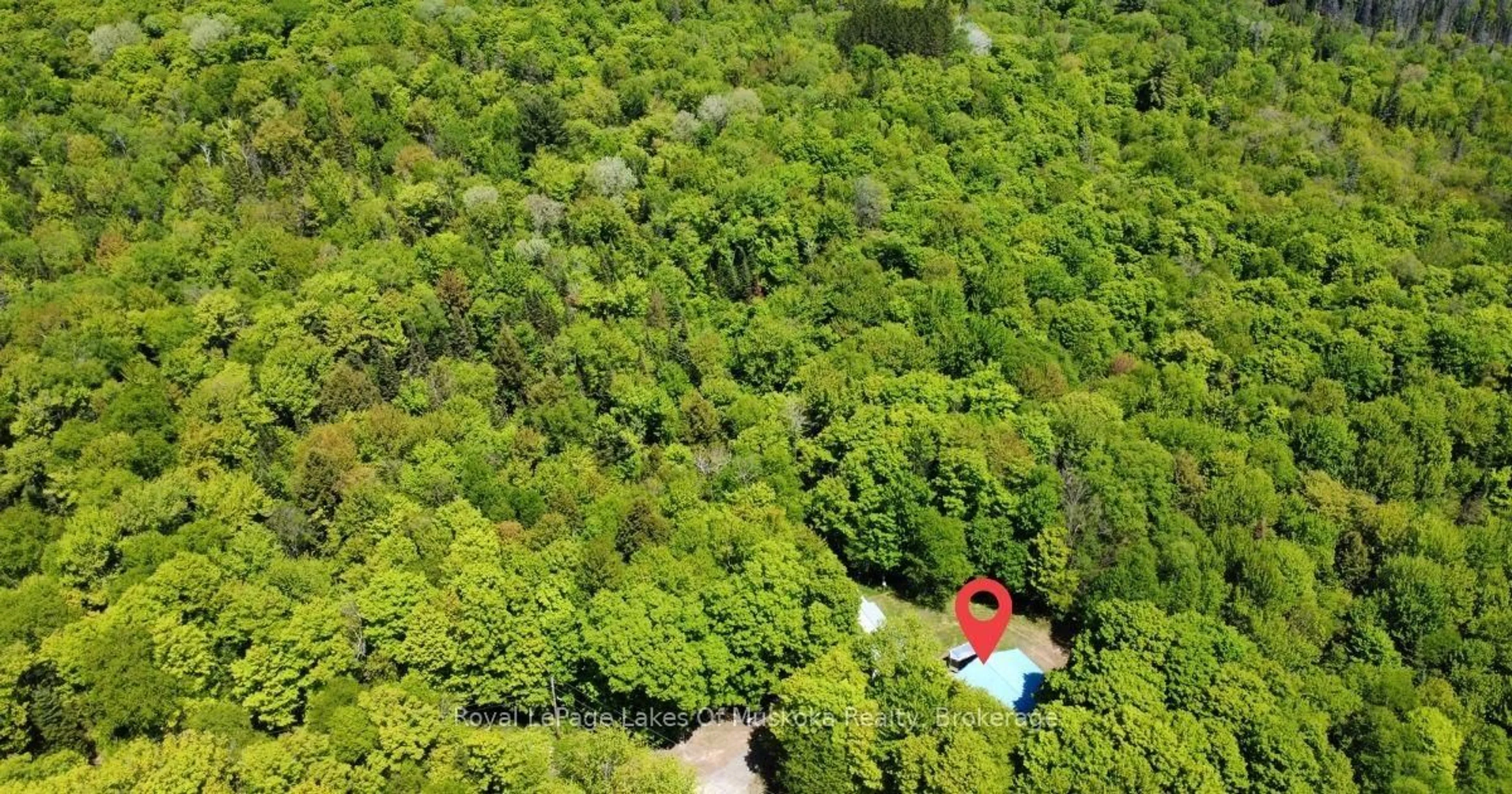 A pic from outside/outdoor area/front of a property/back of a property/a pic from drone, forest/trees view for 722 South Horn Lk Rd, Armour Ontario P0A 1C0