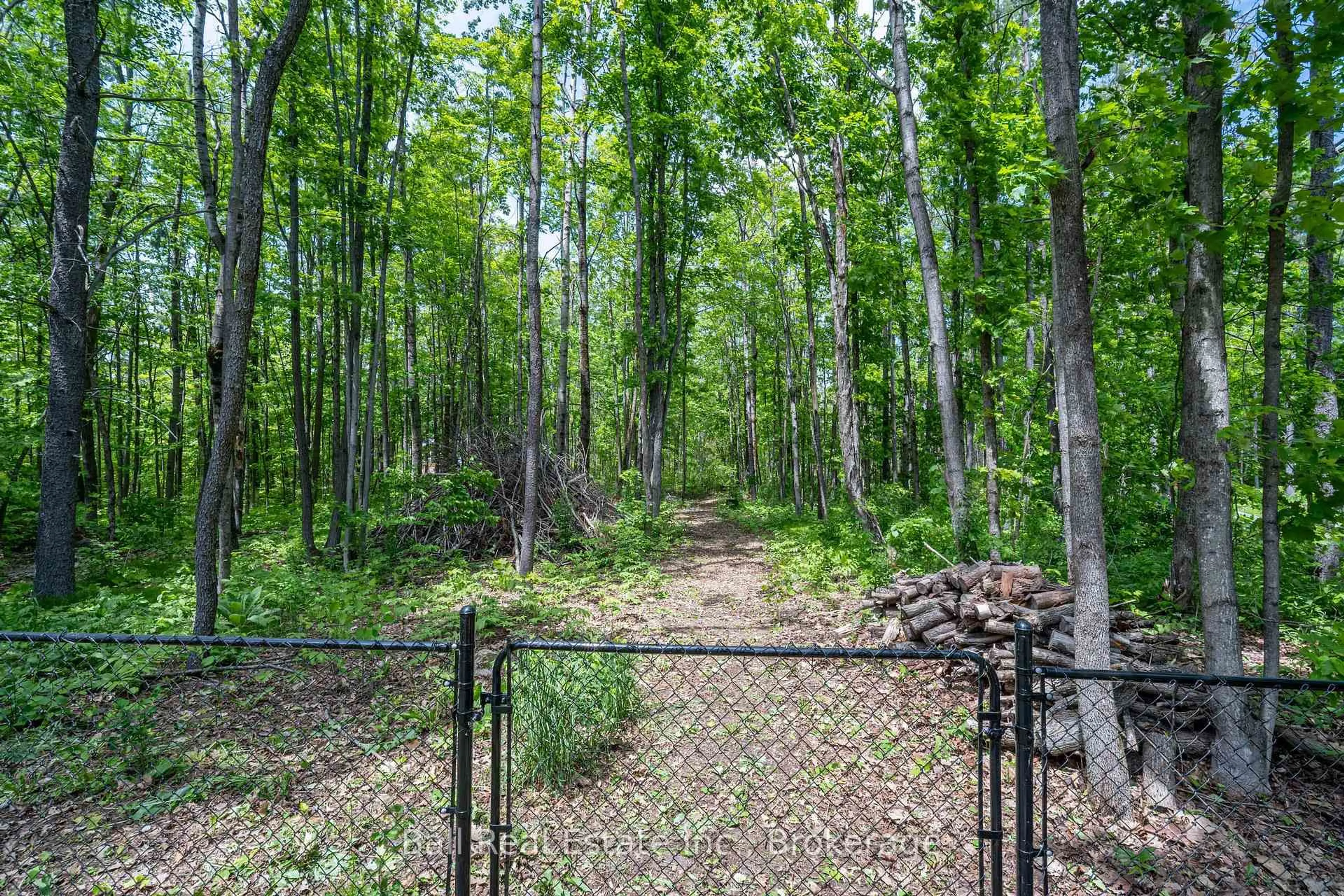 Unknown for 1741 Lakehurst Rd, Trent Lakes Ontario K0L 2H0
