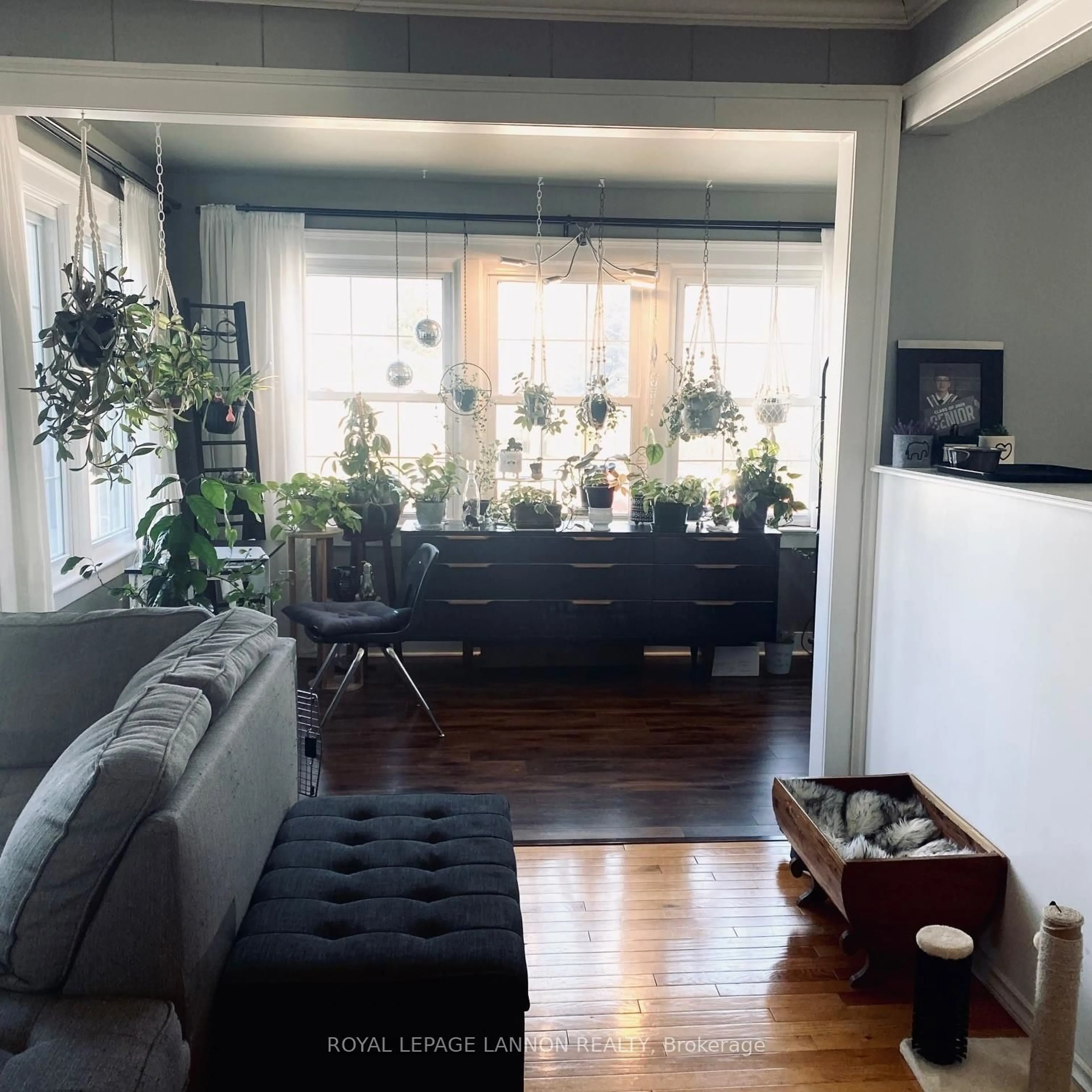 Living room with furniture, unknown for 209 McKenzie Ave, Greenstone Ontario P0T 1M0