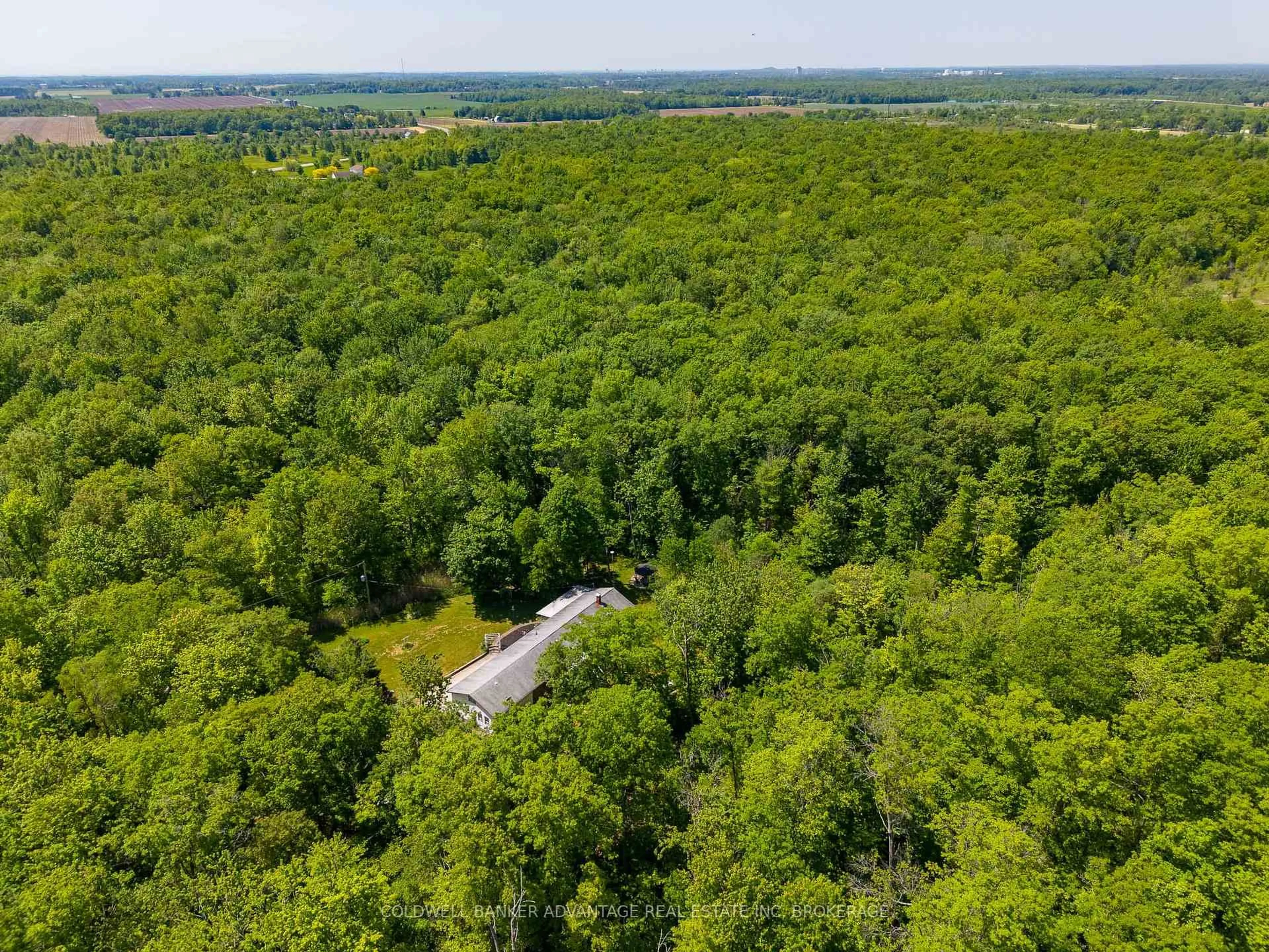 A pic from outside/outdoor area/front of a property/back of a property/a pic from drone, forest/trees view for 4706 Miller Rd, Port Colborne Ontario L3B 5N7