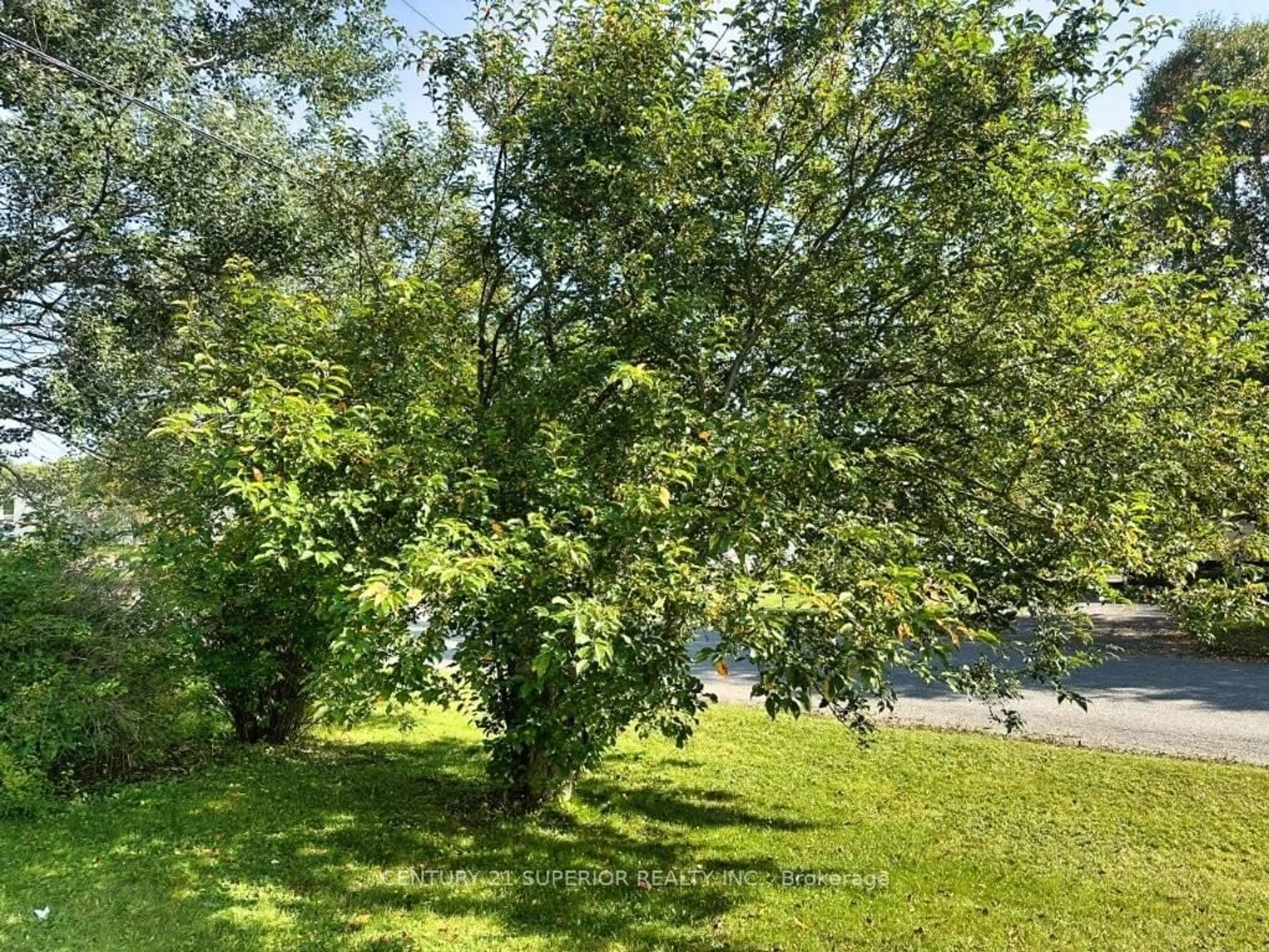 A pic from outside/outdoor area/front of a property/back of a property/a pic from drone, forest/trees view for 64 Parkway Place, Terrace Bay Ontario P0T 2W0