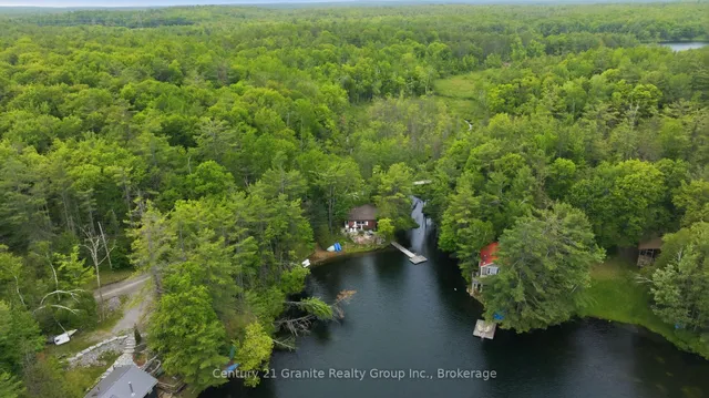 1427 Spar Lake Rd, Minden Hills 3