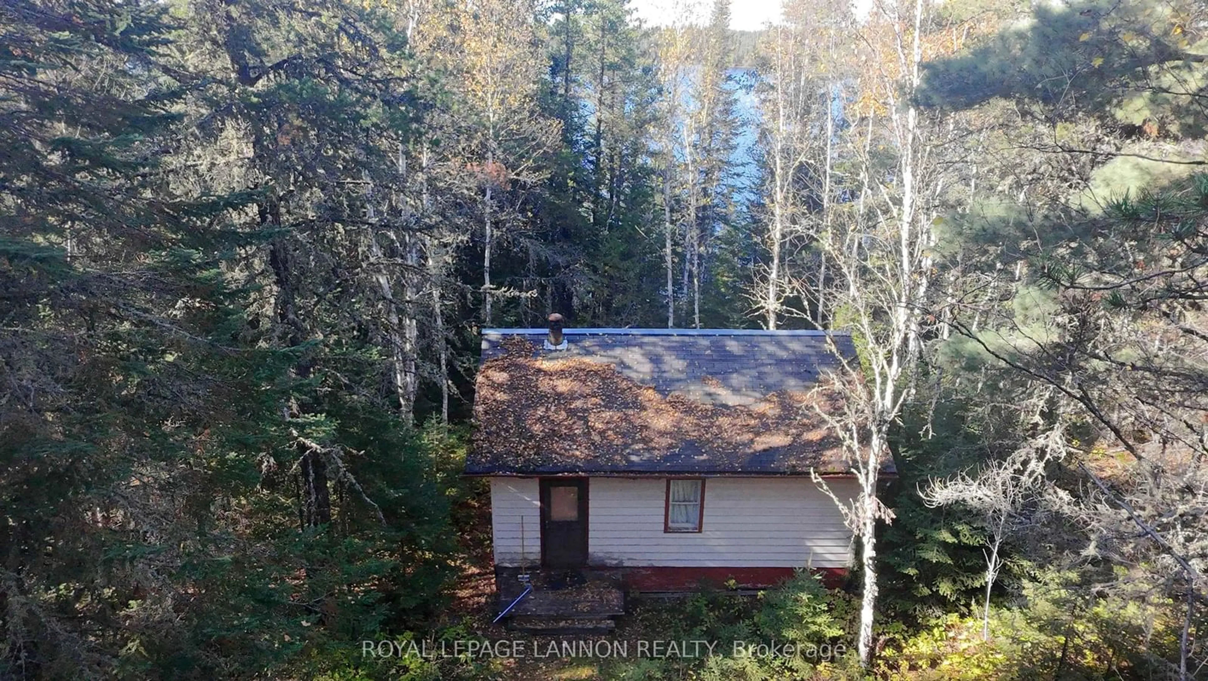 A pic from outside/outdoor area/front of a property/back of a property/a pic from drone, forest/trees view for 105 Tractor Tire Rd, Greenstone Ontario P0T 1M0
