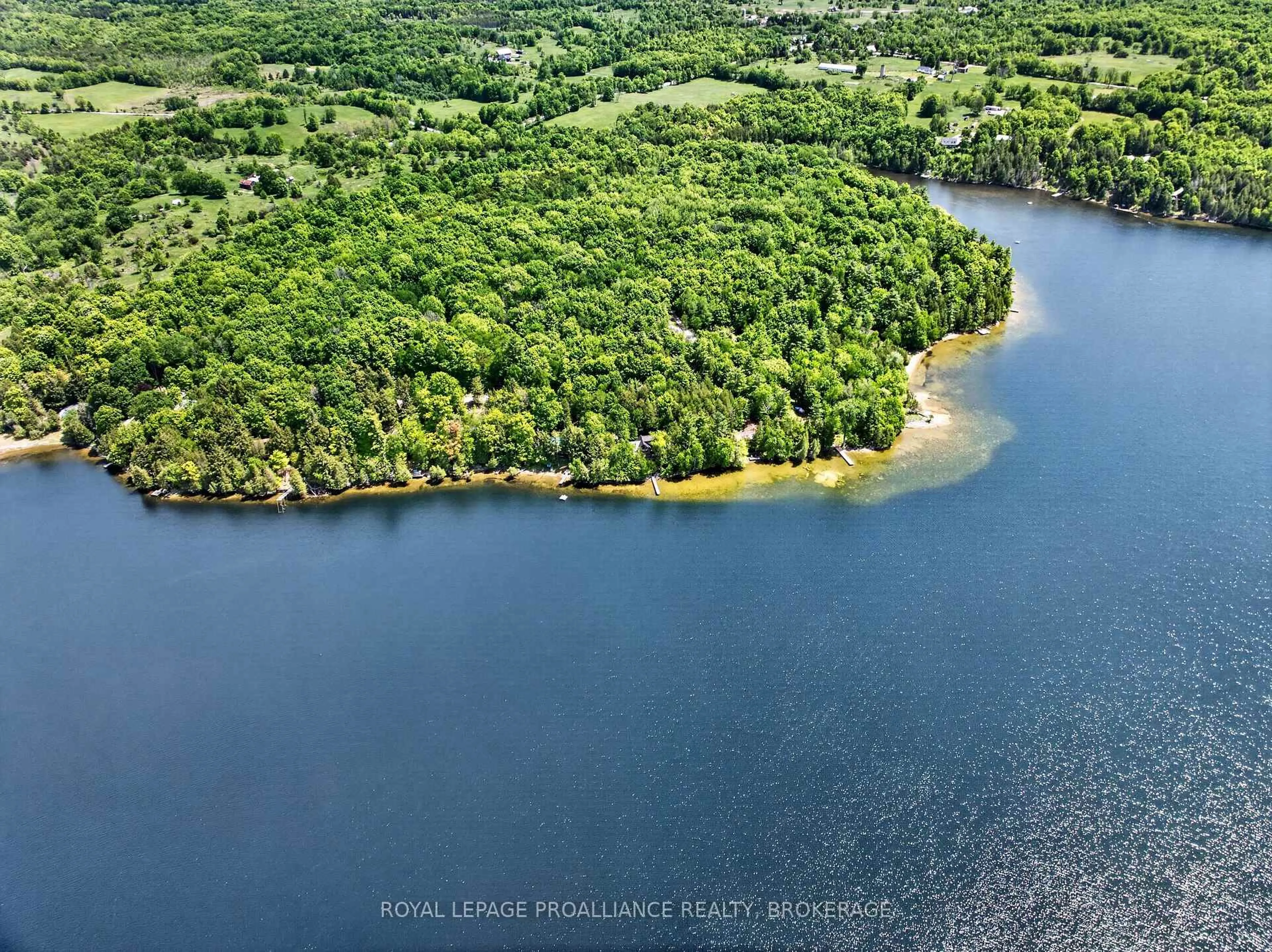 A pic from outside/outdoor area/front of a property/back of a property/a pic from drone, water/lake/river/ocean view for 58 Lower Lake Lane, Godfrey Ontario K0H 1T0