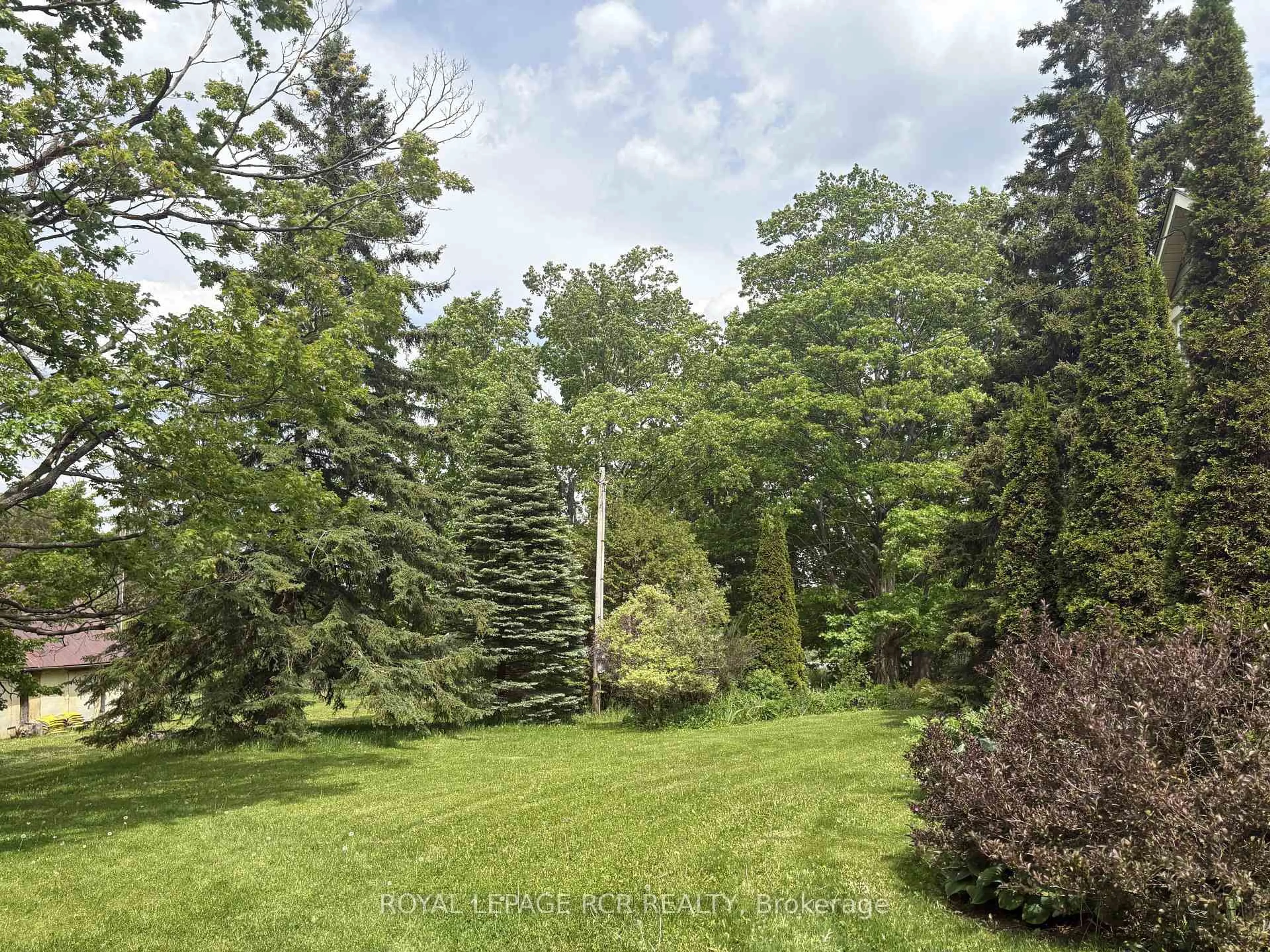 A pic from outside/outdoor area/front of a property/back of a property/a pic from drone, forest/trees view for 475532 County Road 11 Rd, Amaranth Ontario L9V 1L1
