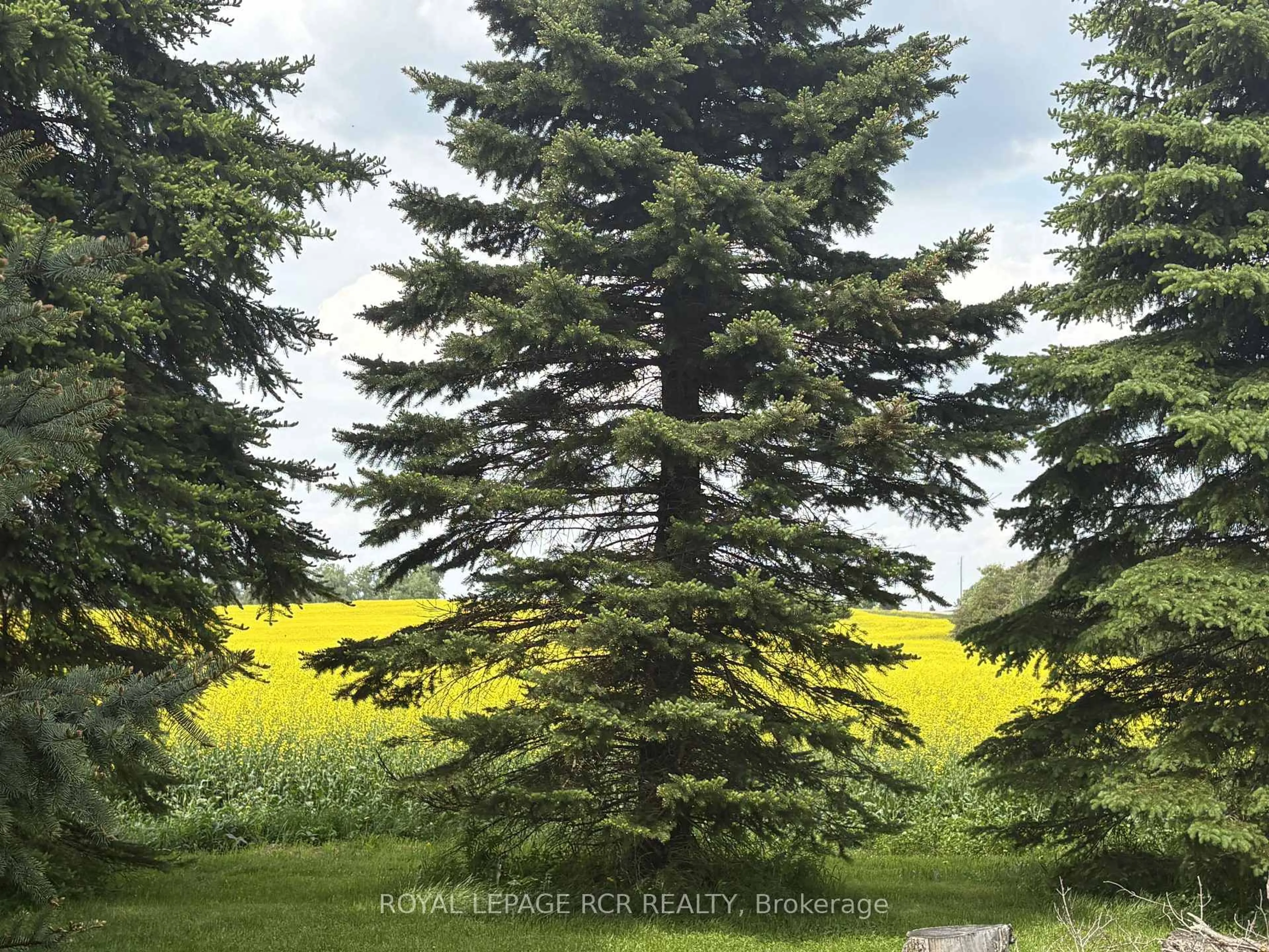 Blurry image for 475532 County Road 11 Rd, Amaranth Ontario L9V 1L1