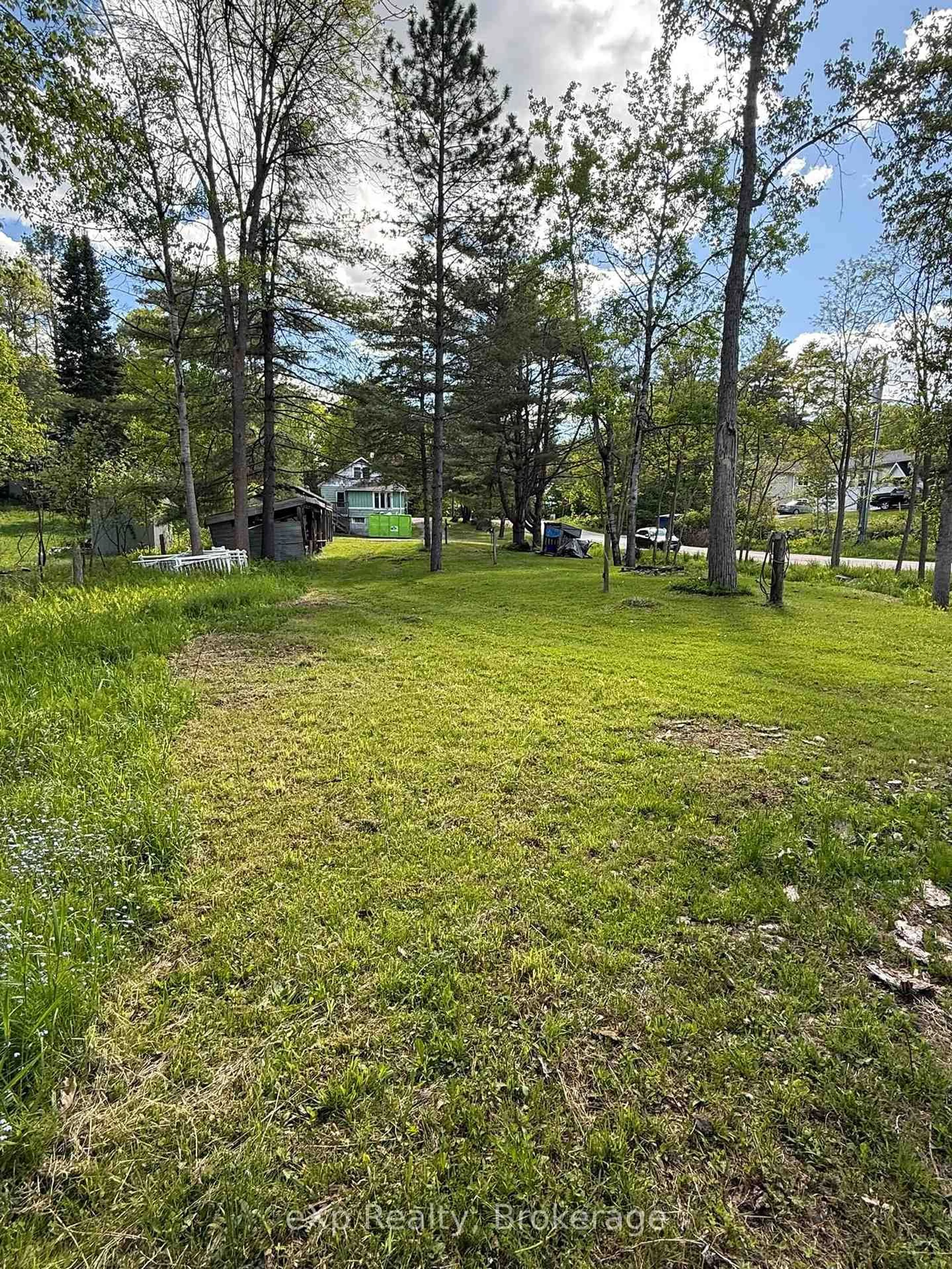 A pic from outside/outdoor area/front of a property/back of a property/a pic from drone, forest/trees view for 50 Joseph St, Muskoka Lakes Ontario P0B 1J0