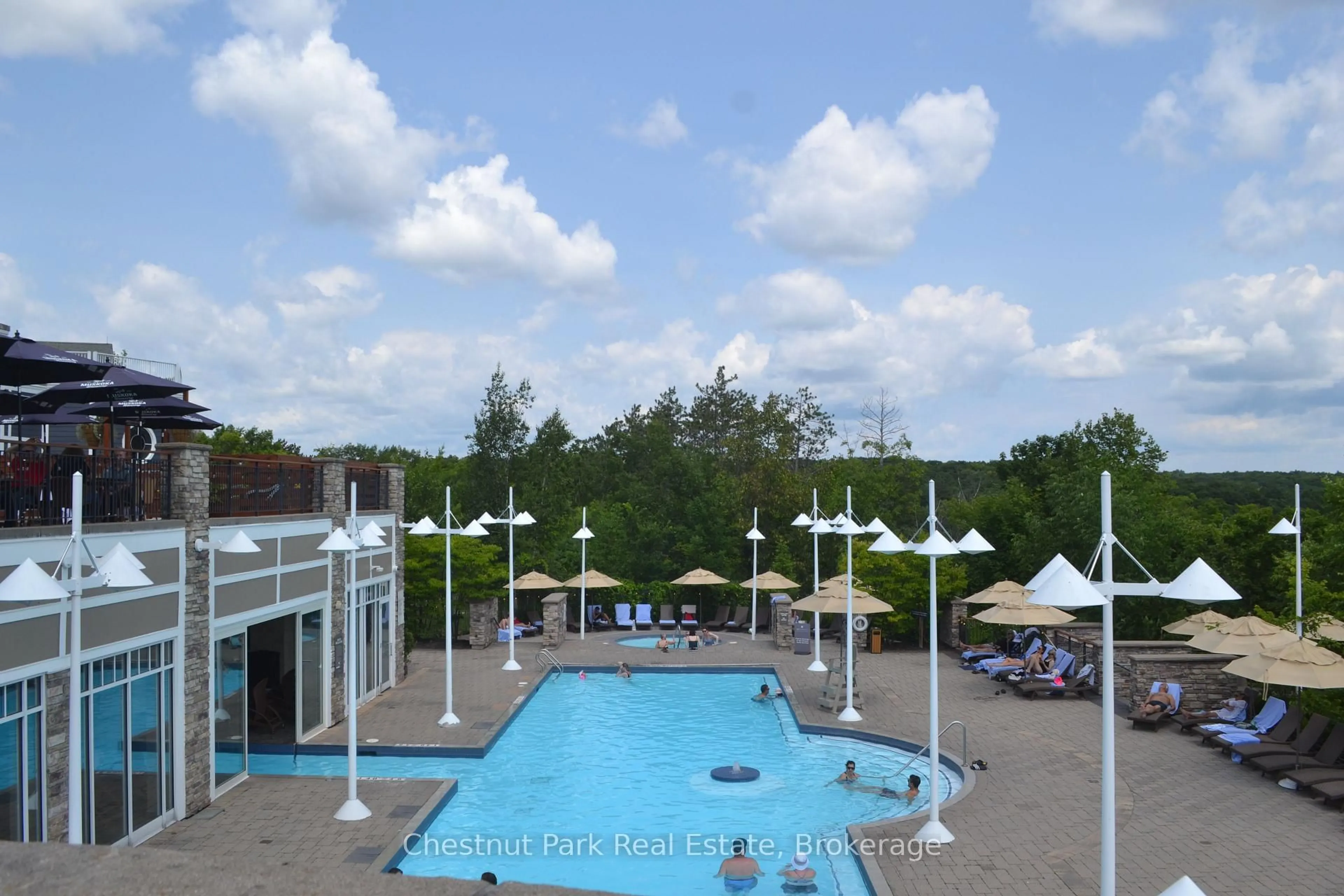Pool for 1050 PAIGNTON HOUSE Rd #1225, Muskoka Lakes Ontario P0B 1G0