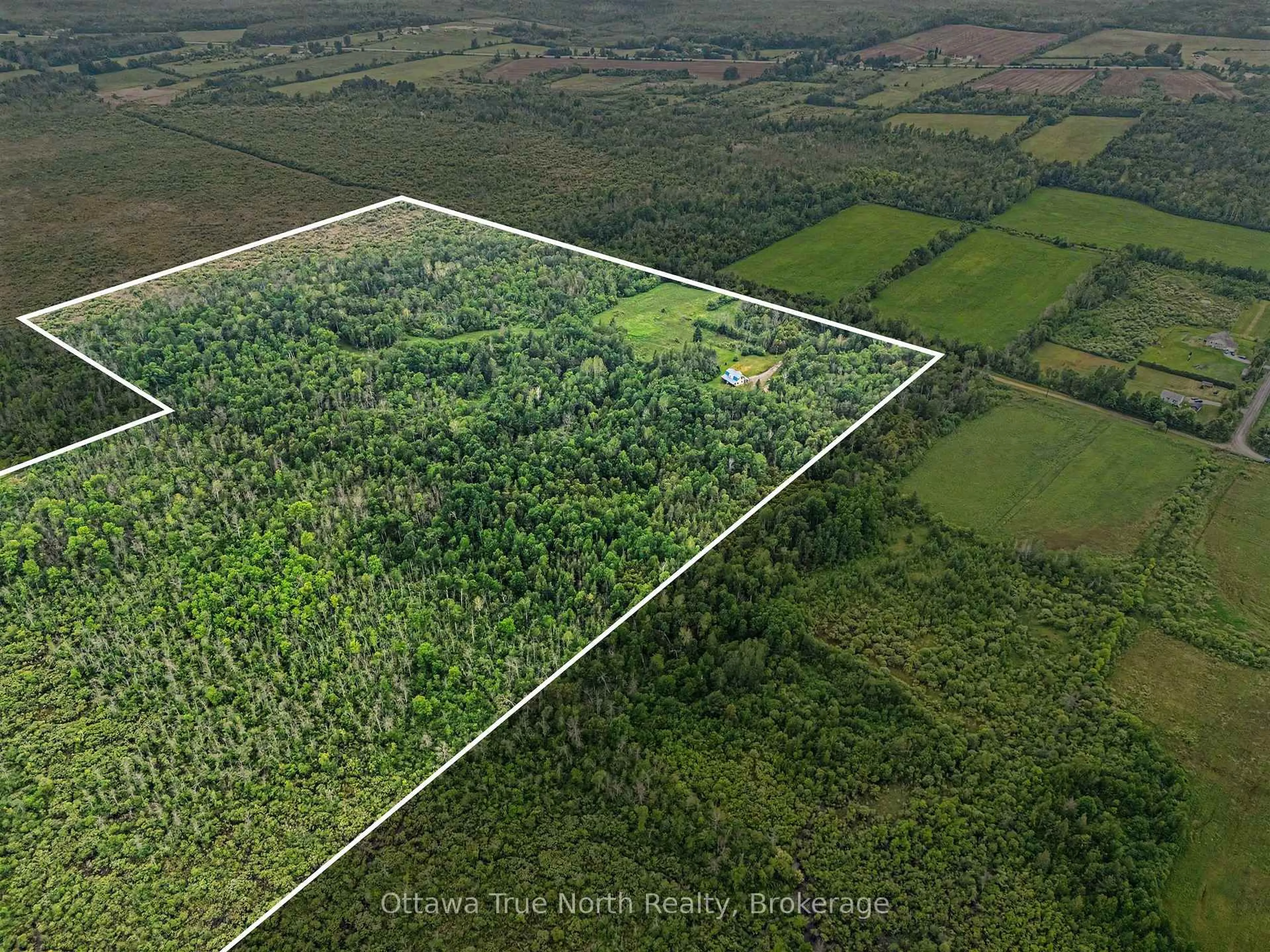 A pic from outside/outdoor area/front of a property/back of a property/a pic from drone, forest/trees view for 401 Kerford Rd, Merrickville-Wolford Ontario K0G 1N0
