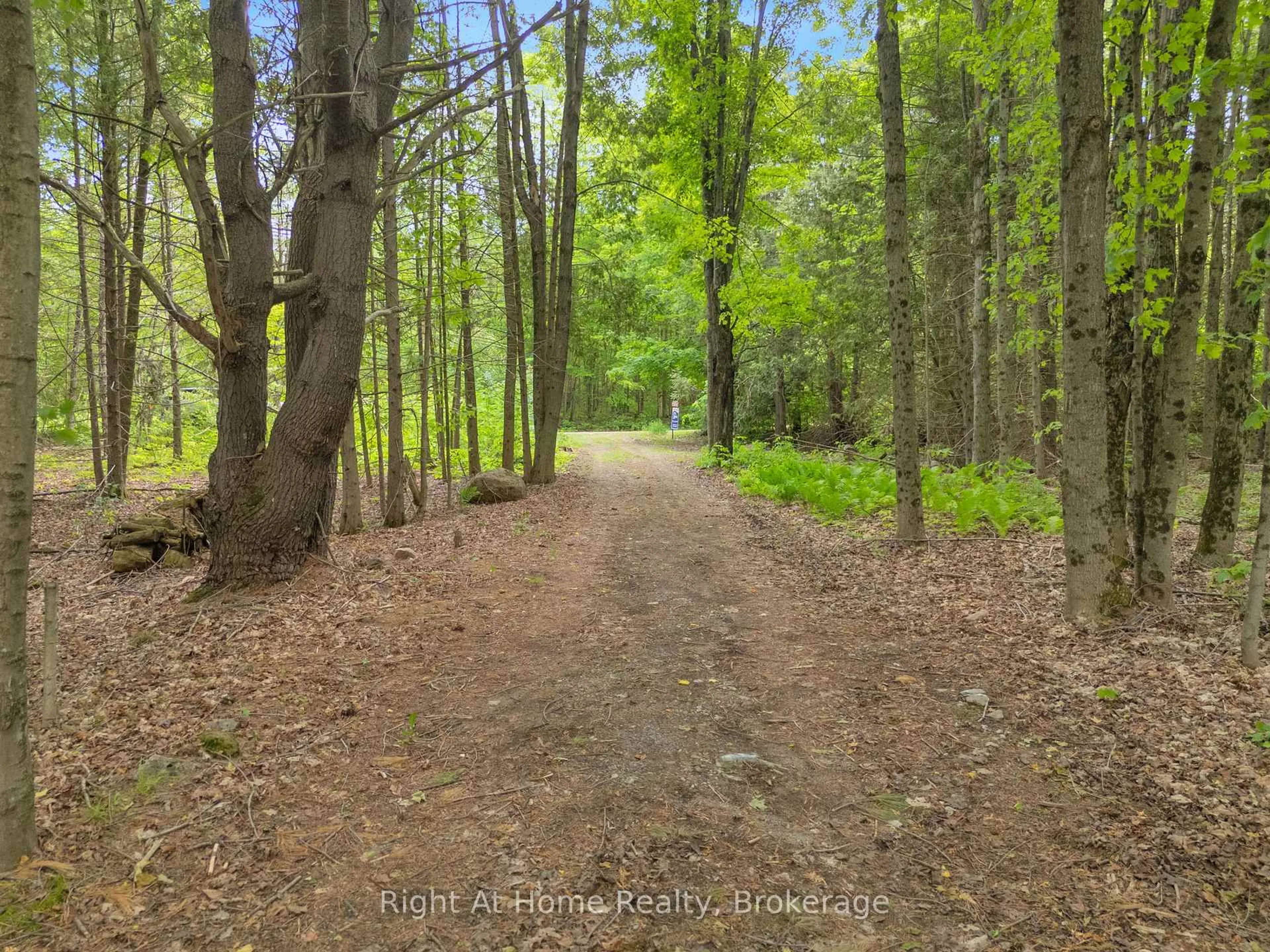 Blurry image for 74 Talbot Rd, Kawartha Lakes Ontario K0M 1K0
