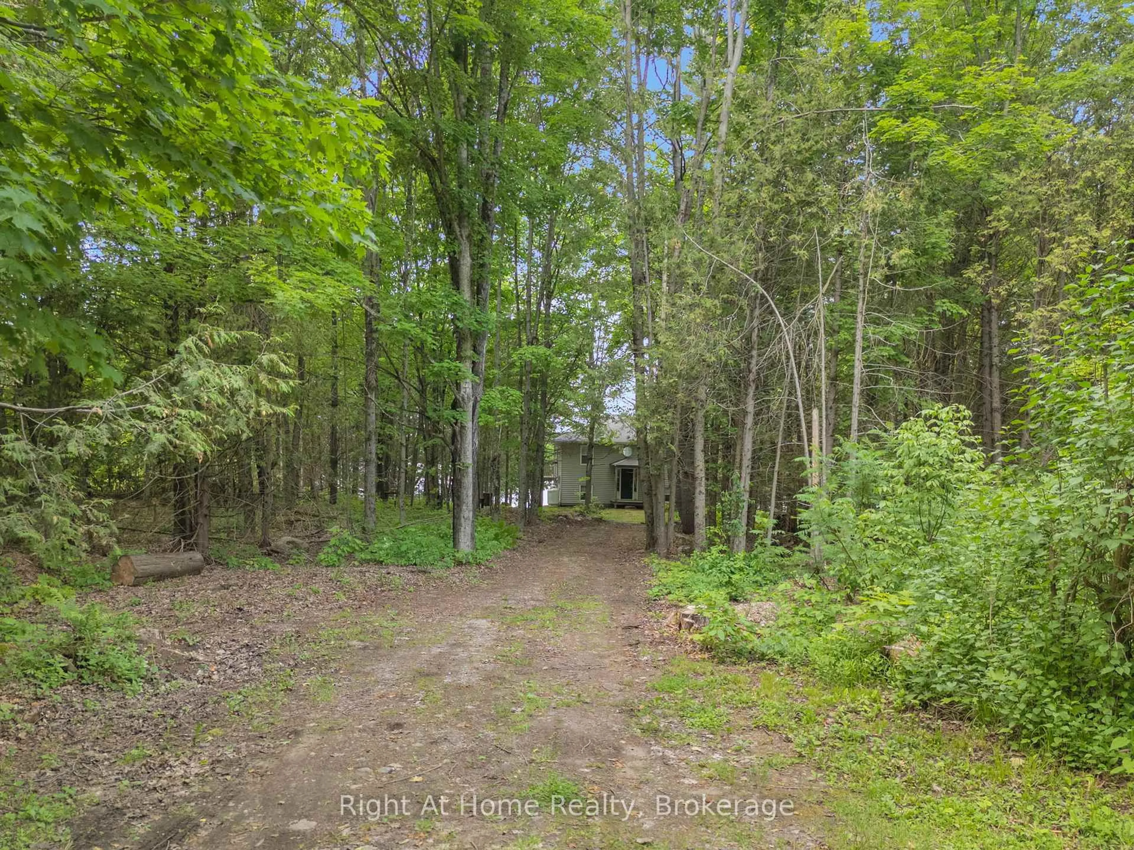 A pic from outside/outdoor area/front of a property/back of a property/a pic from drone, forest/trees view for 74 Talbot Rd, Kawartha Lakes Ontario K0M 1K0
