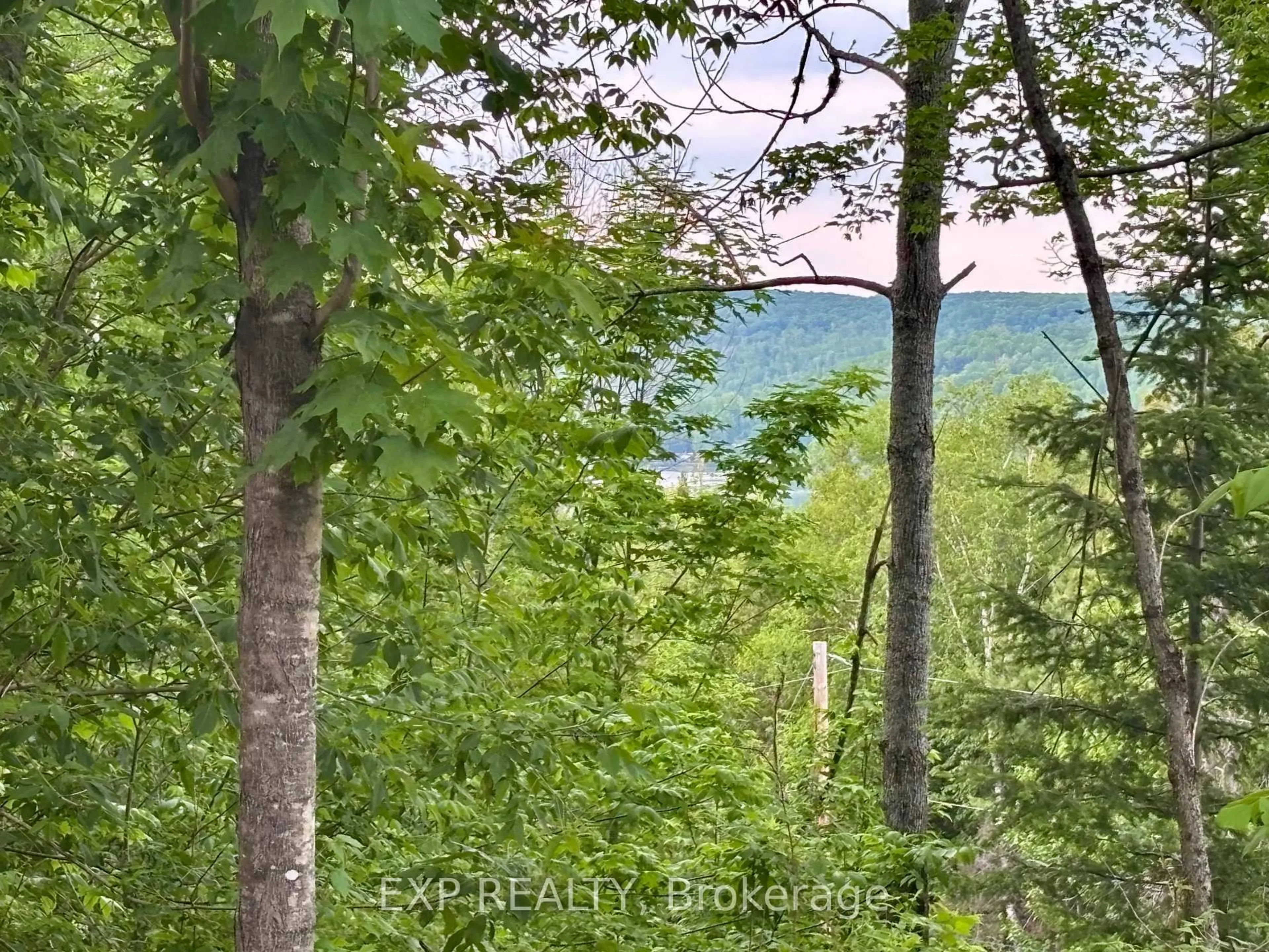 A pic from outside/outdoor area/front of a property/back of a property/a pic from drone, forest/trees view for 47 Arbor vitae Rd, Barry's Bay Ontario K0J 1B0
