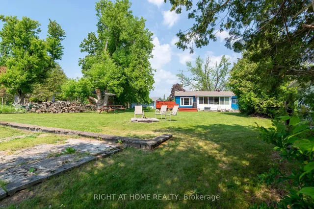 203 Mcguire Beach Rd, Kawartha Lakes 4