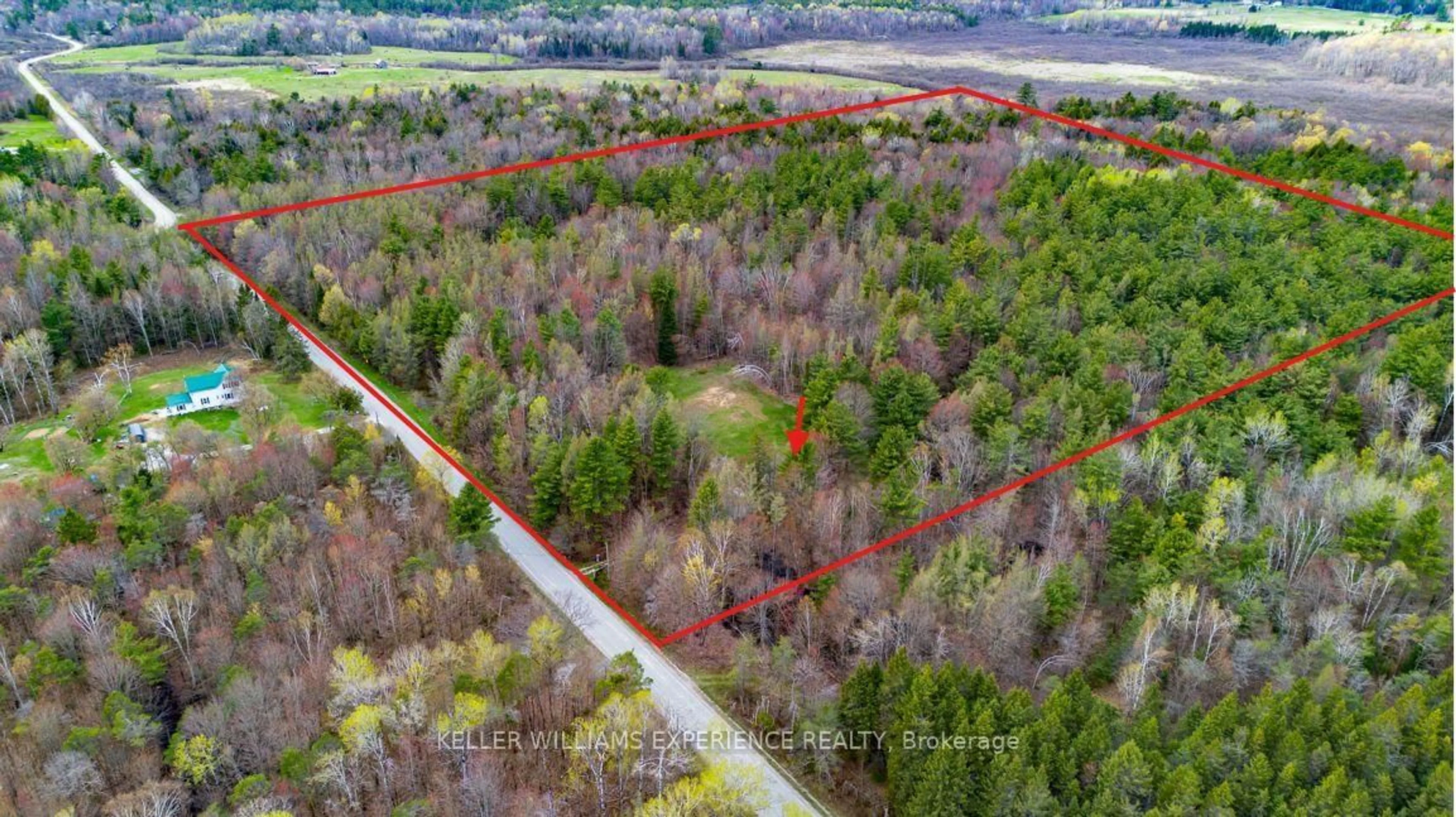 A pic from outside/outdoor area/front of a property/back of a property/a pic from drone, forest/trees view for 7390 Sadowa Rd, Kawartha Lakes Ontario L0K 1W0