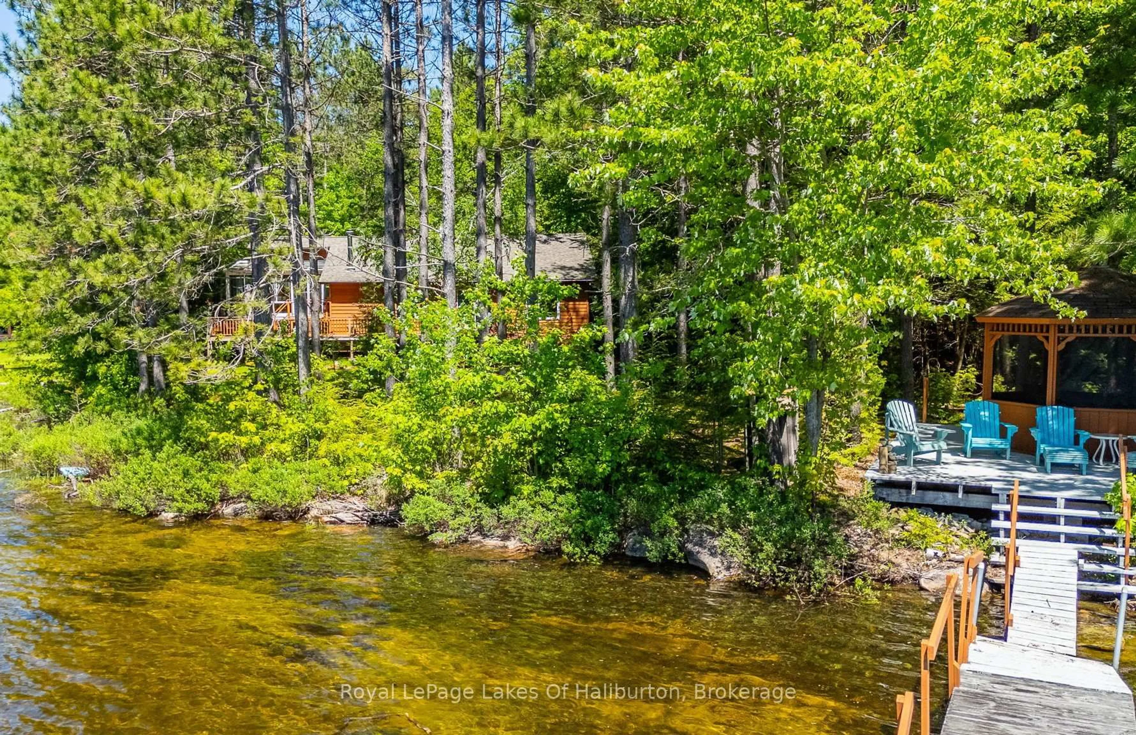 A pic from outside/outdoor area/front of a property/back of a property/a pic from drone, water/lake/river/ocean view for 1349 Trellis Tr, Minden Hills Ontario K0M 2K0