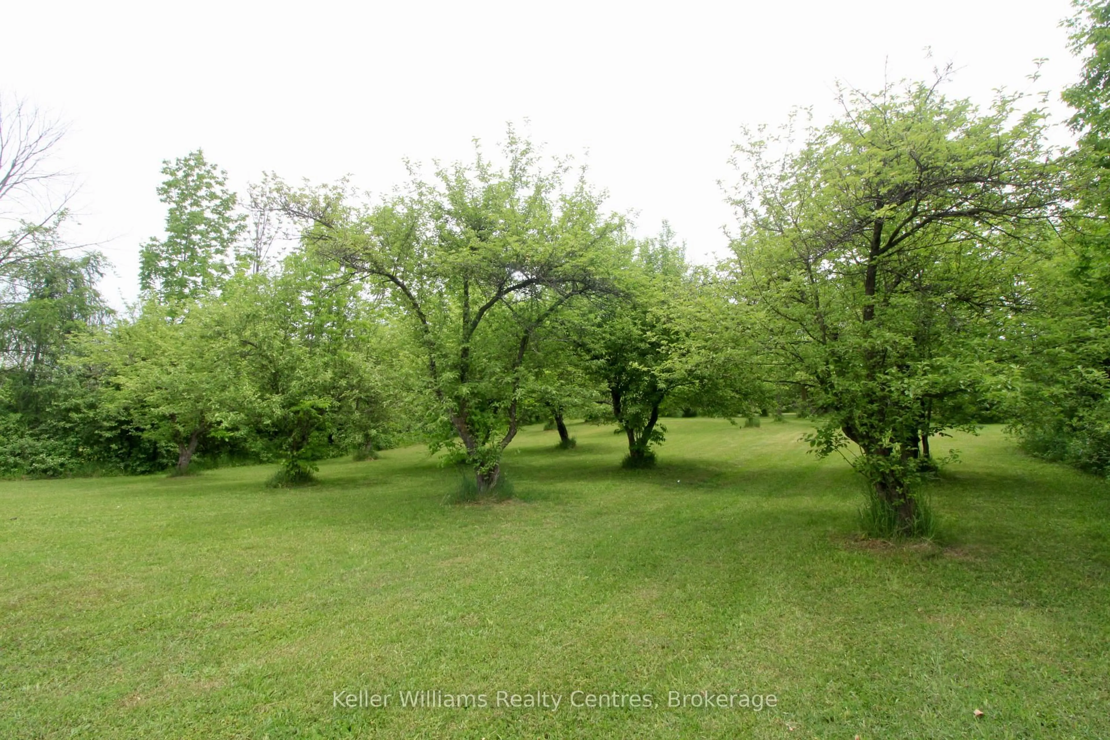 A pic from outside/outdoor area/front of a property/back of a property/a pic from drone, forest/trees view for 50/52 Main St, Brockton Ontario N0G 1S0