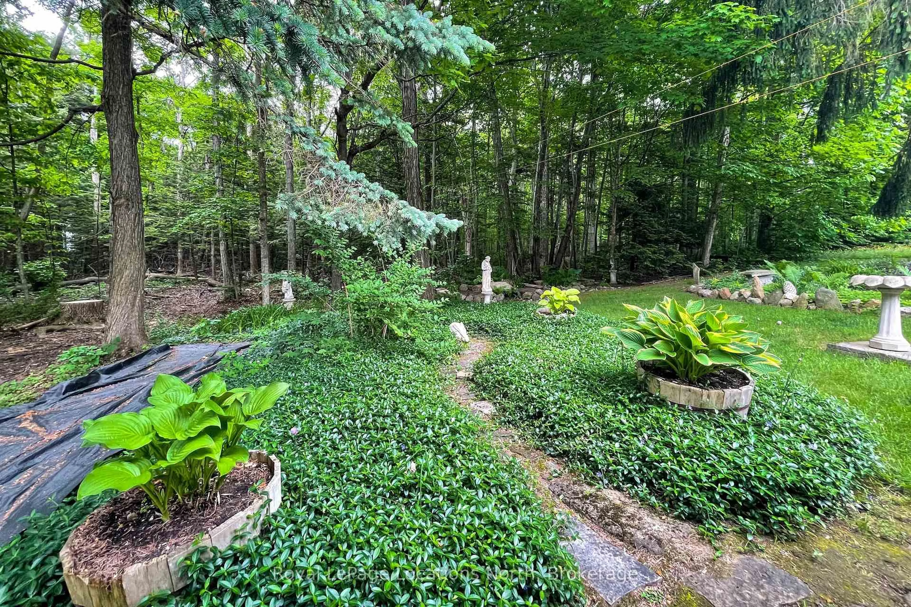 Patio, forest/trees view for 62 Parklane Cres, Meaford Ontario N4L 1B1