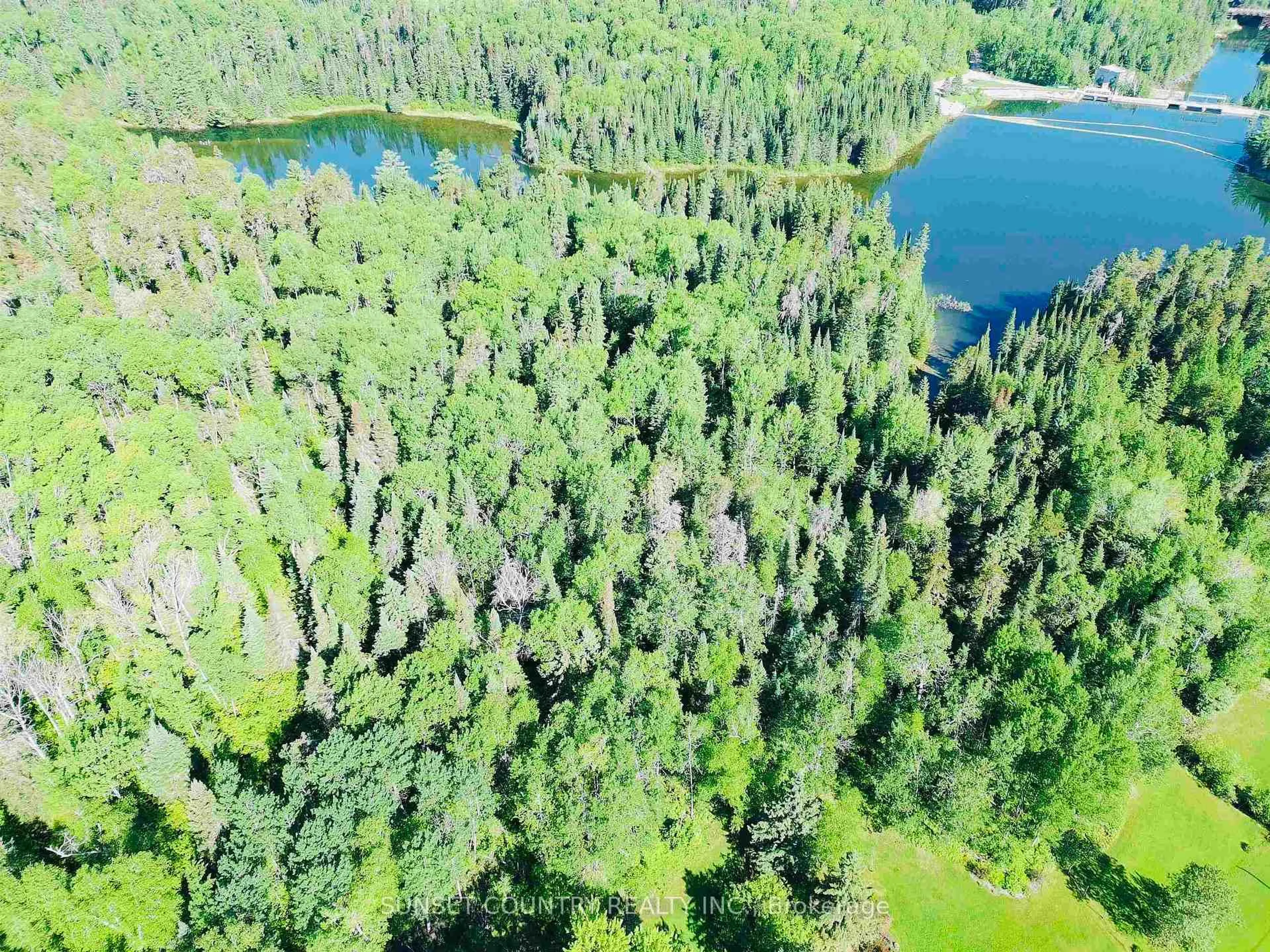 A pic from outside/outdoor area/front of a property/back of a property/a pic from drone, forest/trees view for 834 594, Kenora Remote Area Ontario P0V 1S0