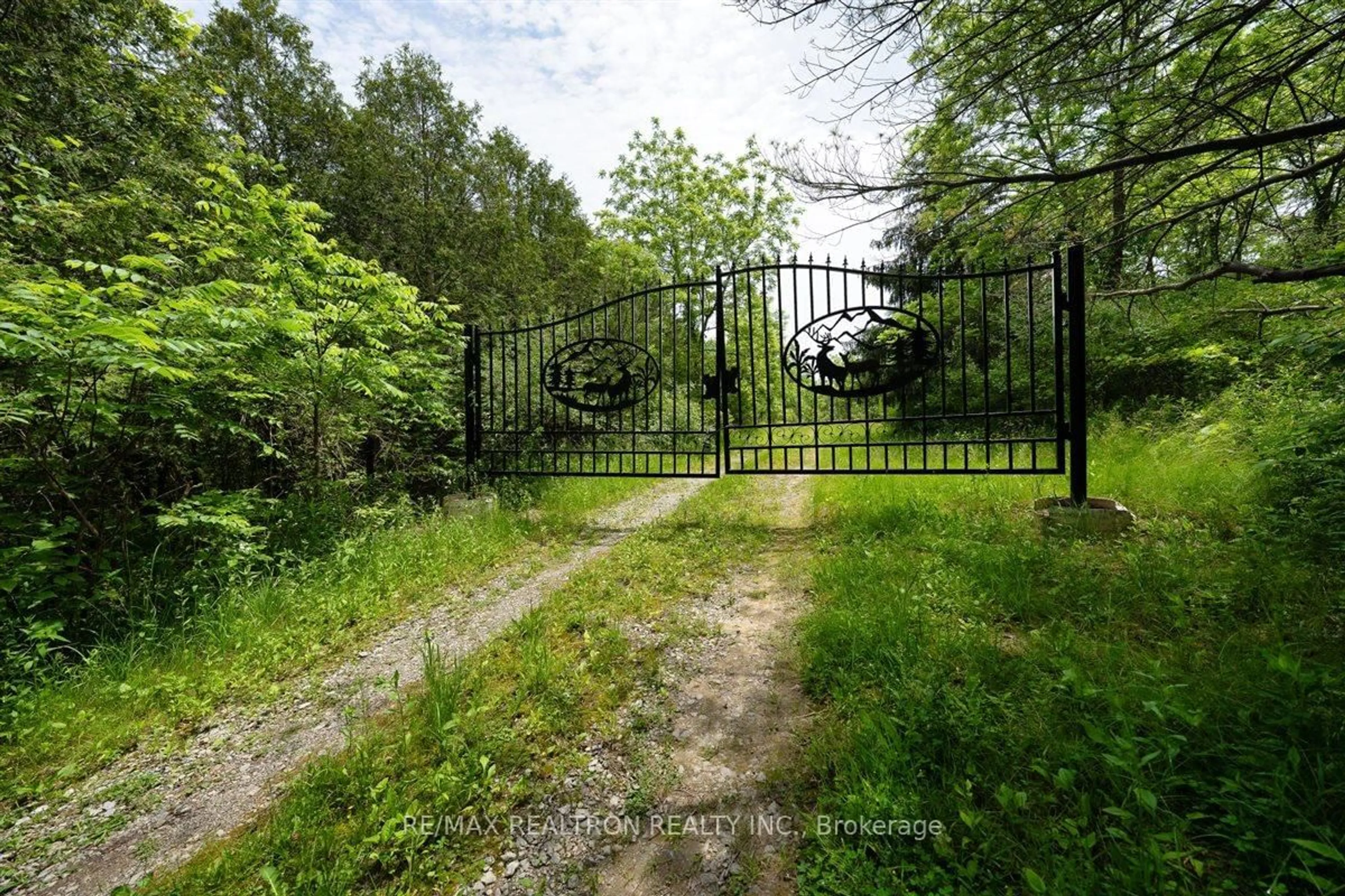 A pic from outside/outdoor area/front of a property/back of a property/a pic from drone, forest/trees view for 2740 Front Rd, Norfolk Ontario N0E 1W0