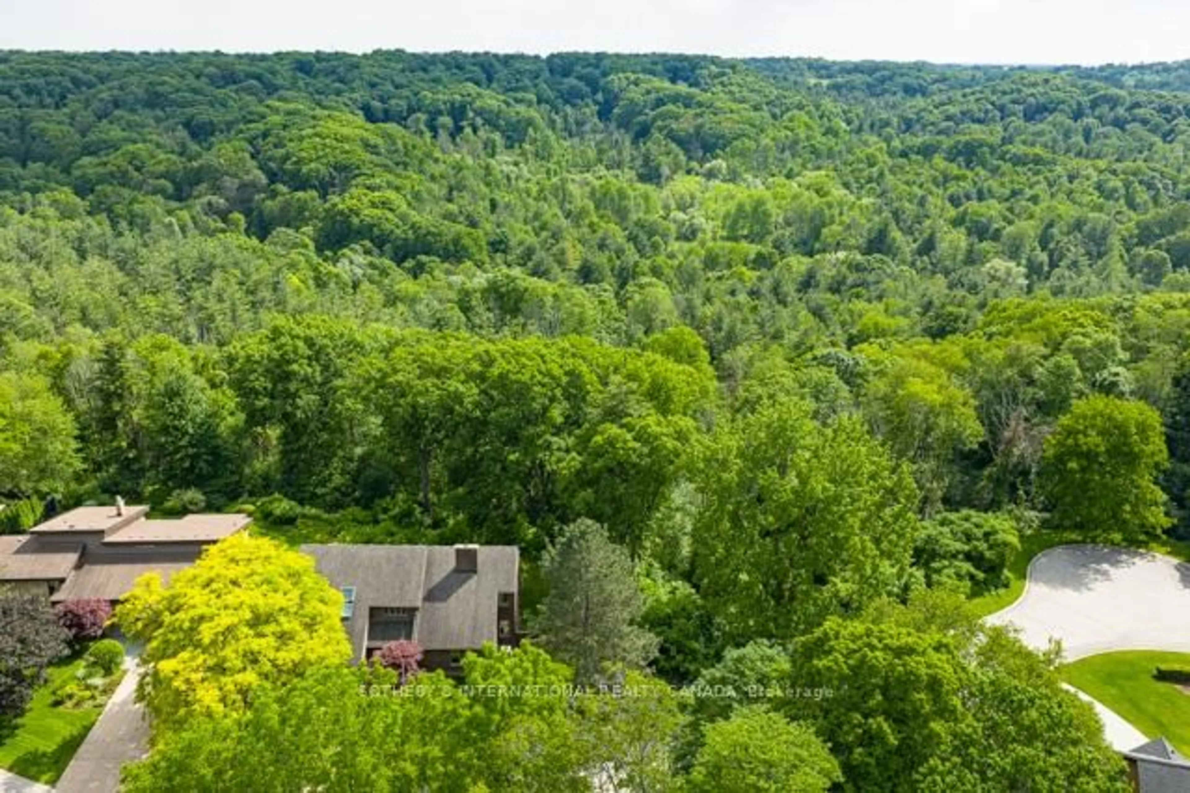 A pic from outside/outdoor area/front of a property/back of a property/a pic from drone, forest/trees view for 20 Ridgeview Crt, Hamilton Ontario L9G 3X9